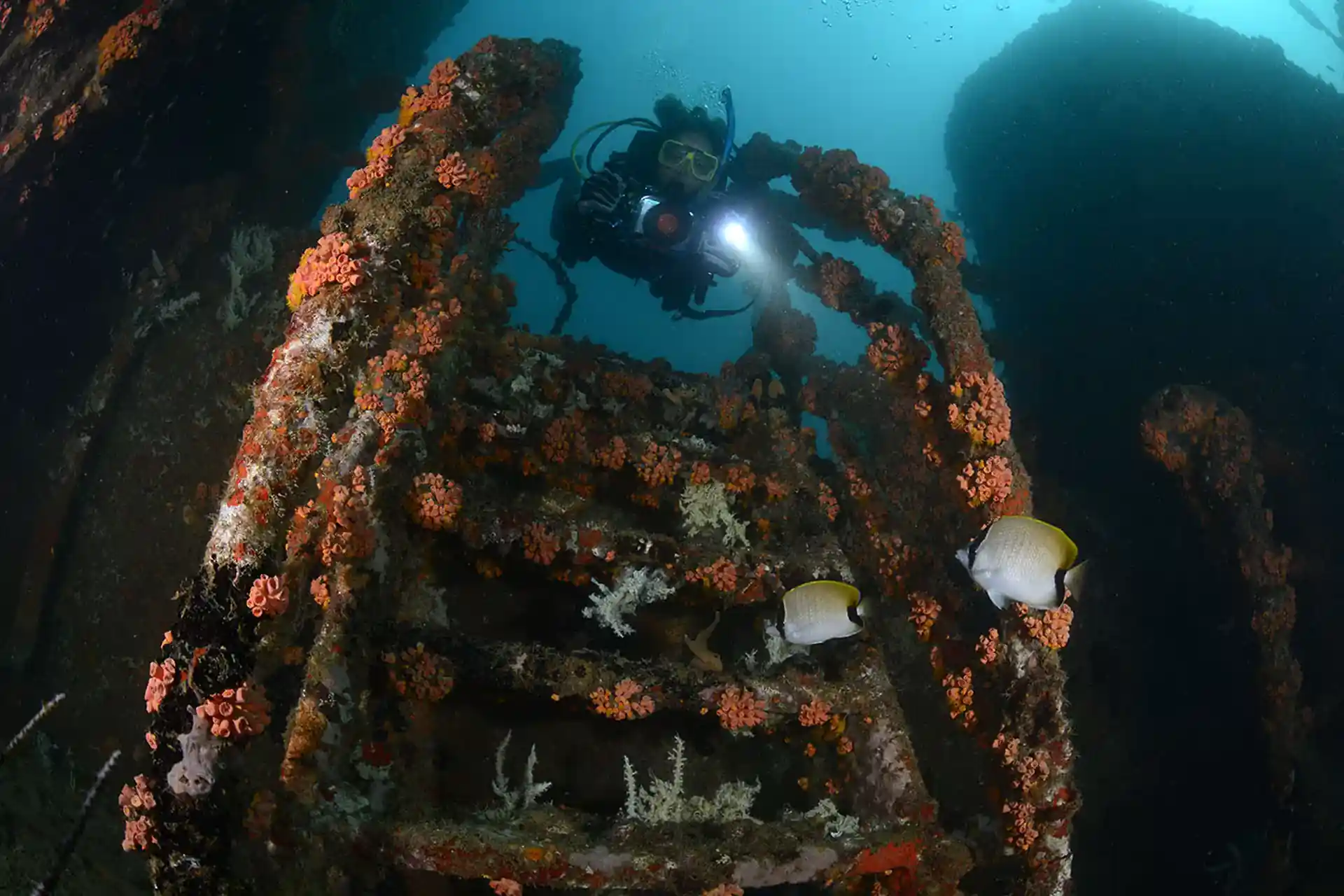 Dive site photo