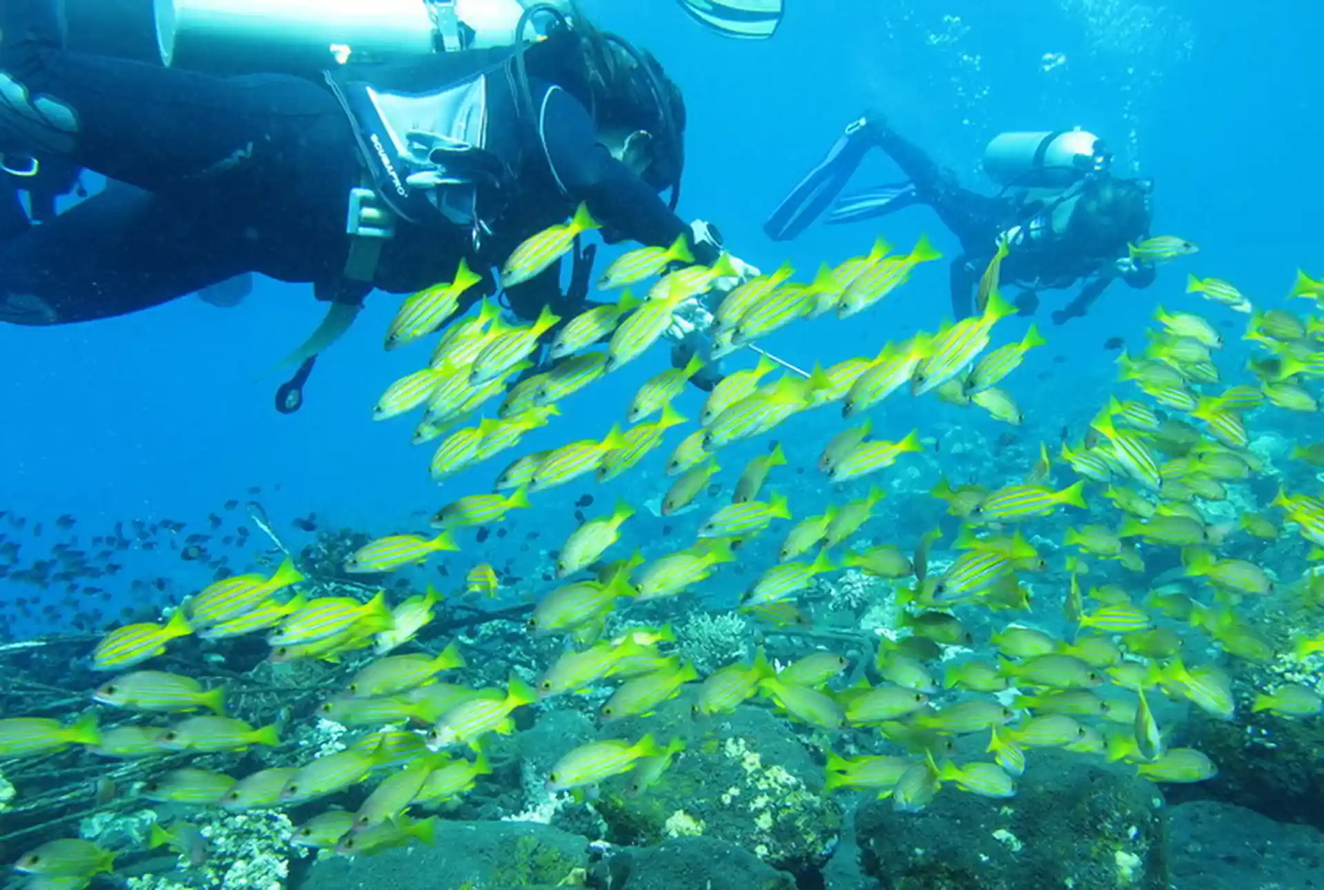 ダイビングサイトの写真