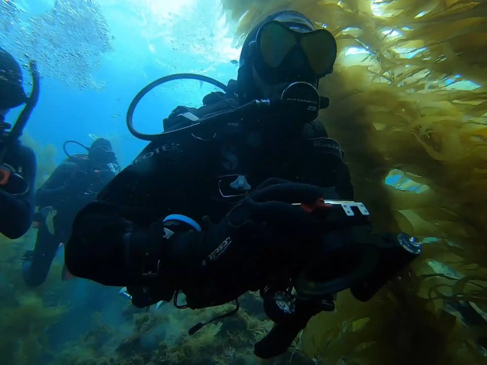 Foto de la tienda de buceo