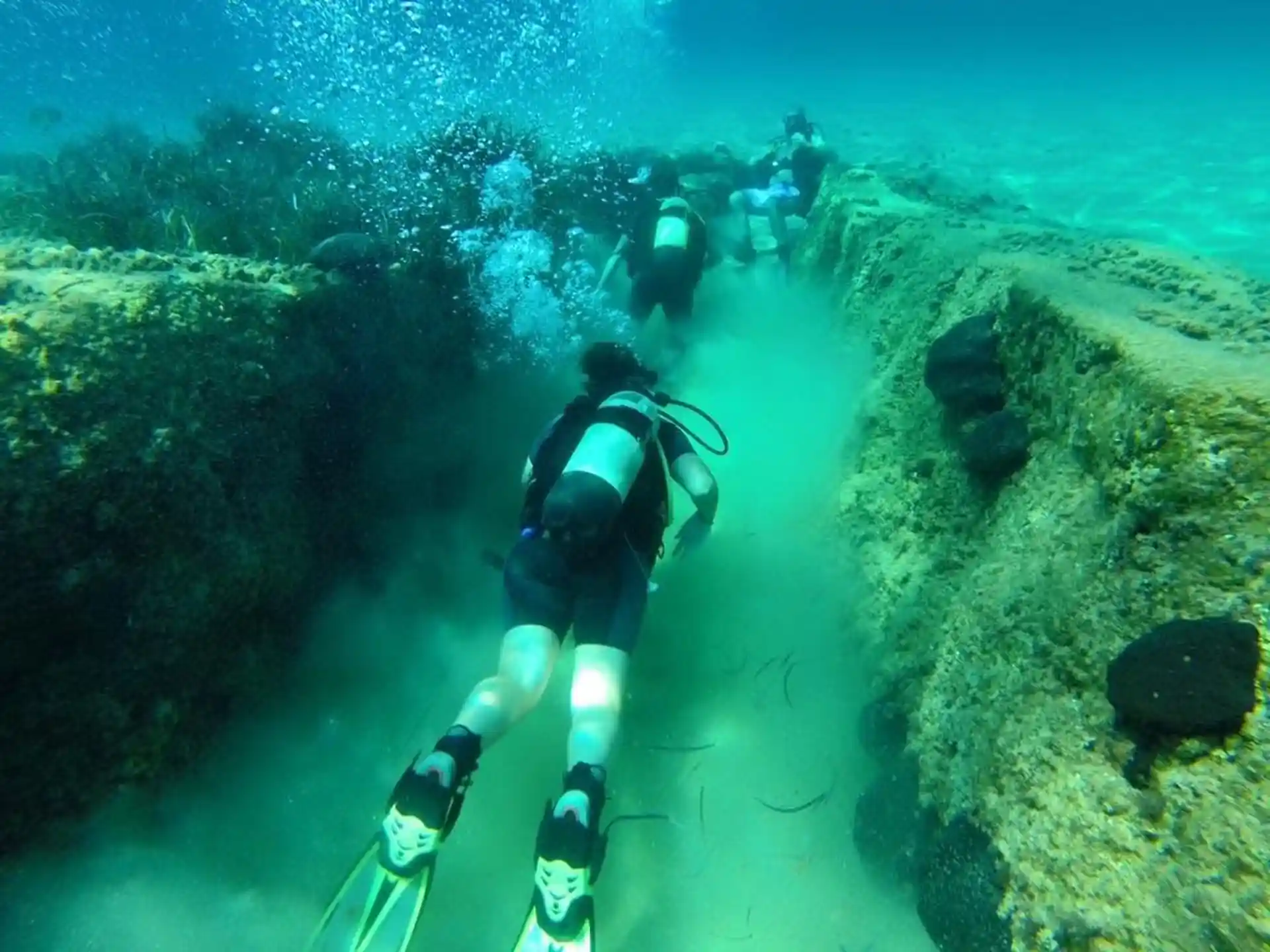 Photo de l'activité