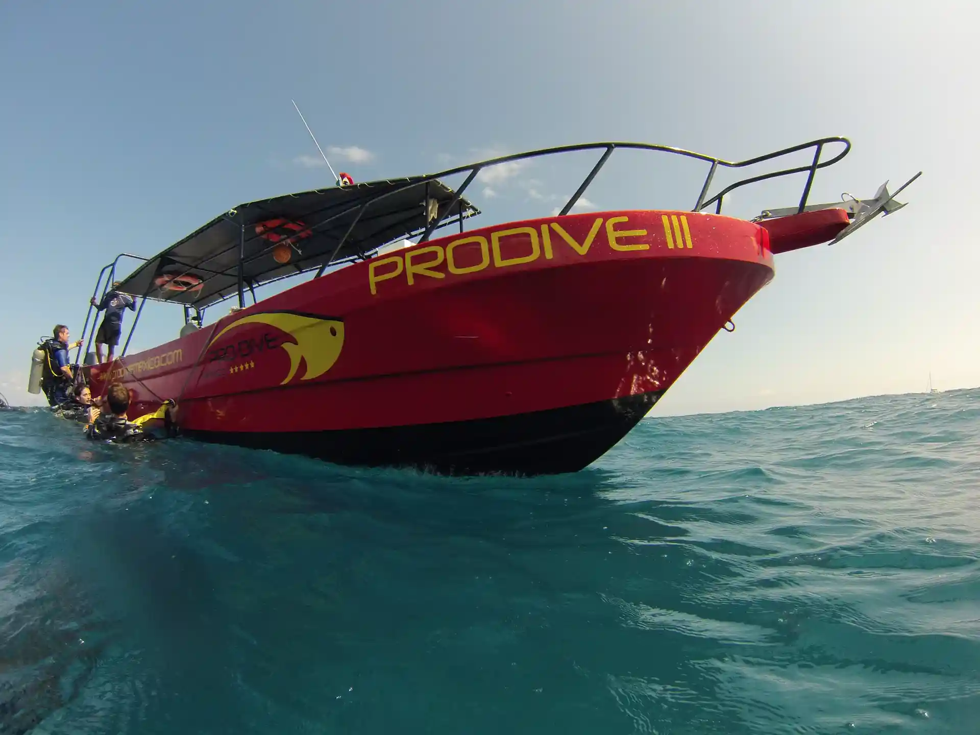 Photo de l'activité