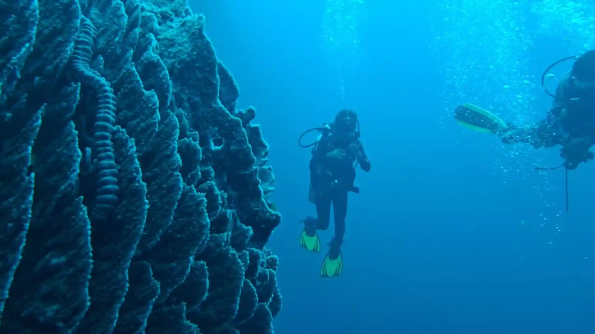 Foto del sitio de buceo