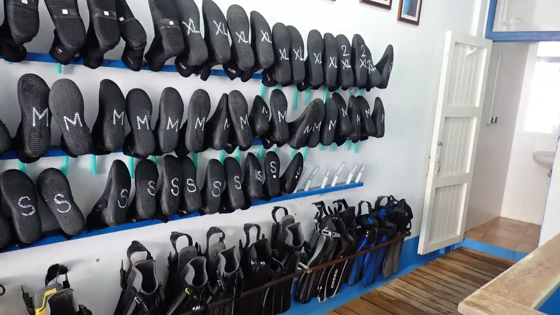Dive shop photo