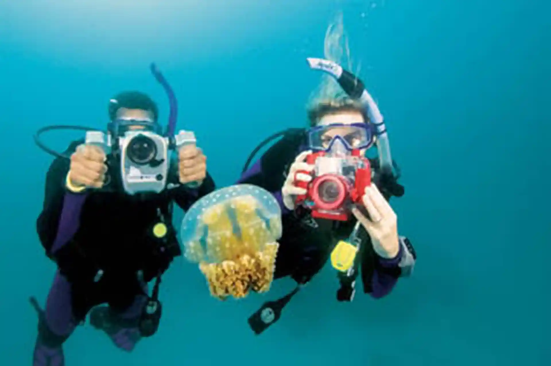 Dive shop photo