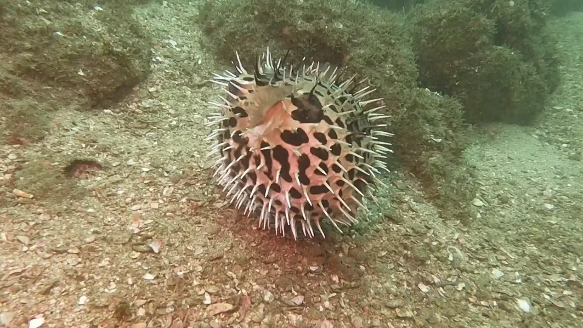 Dive shop photo