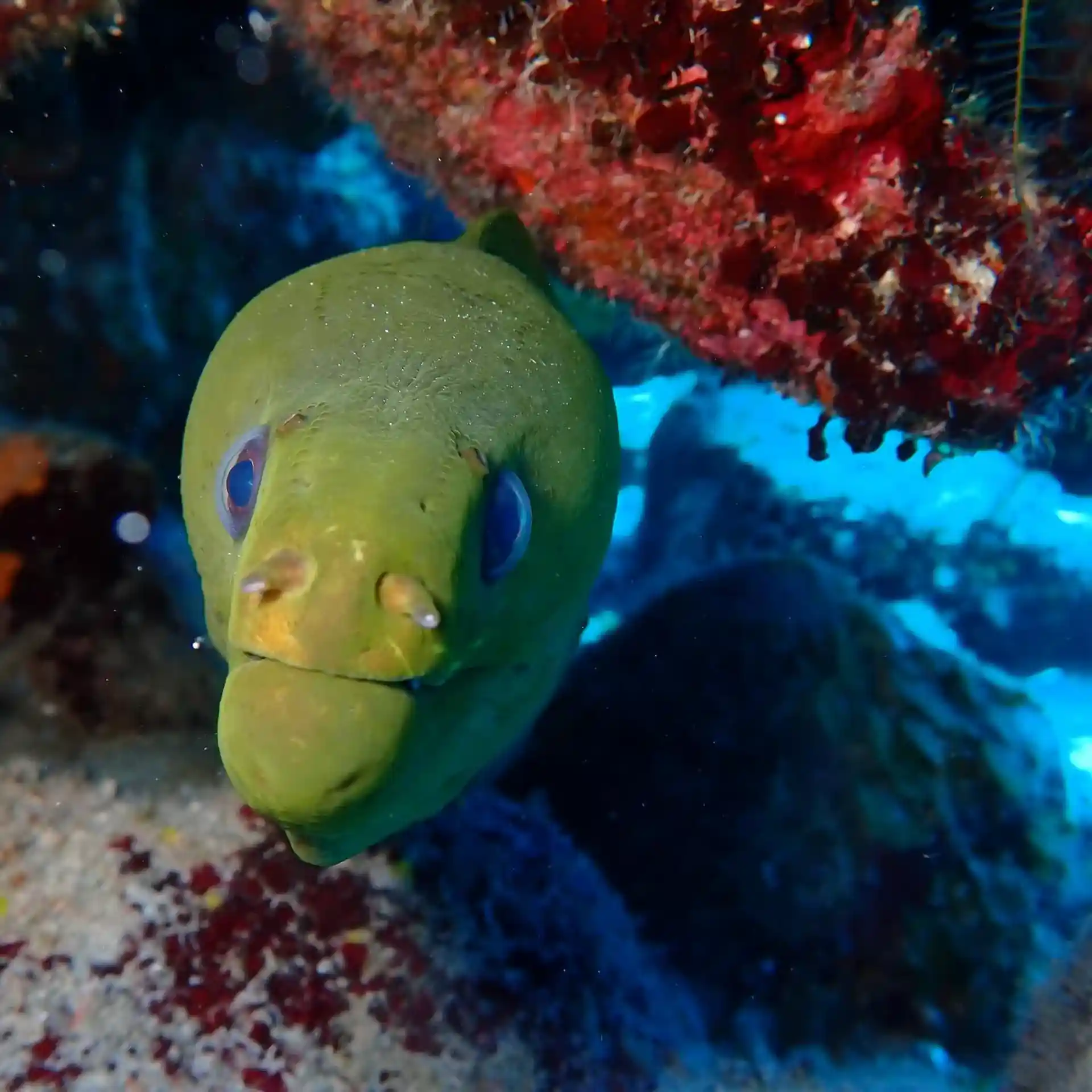 Dive shop photo