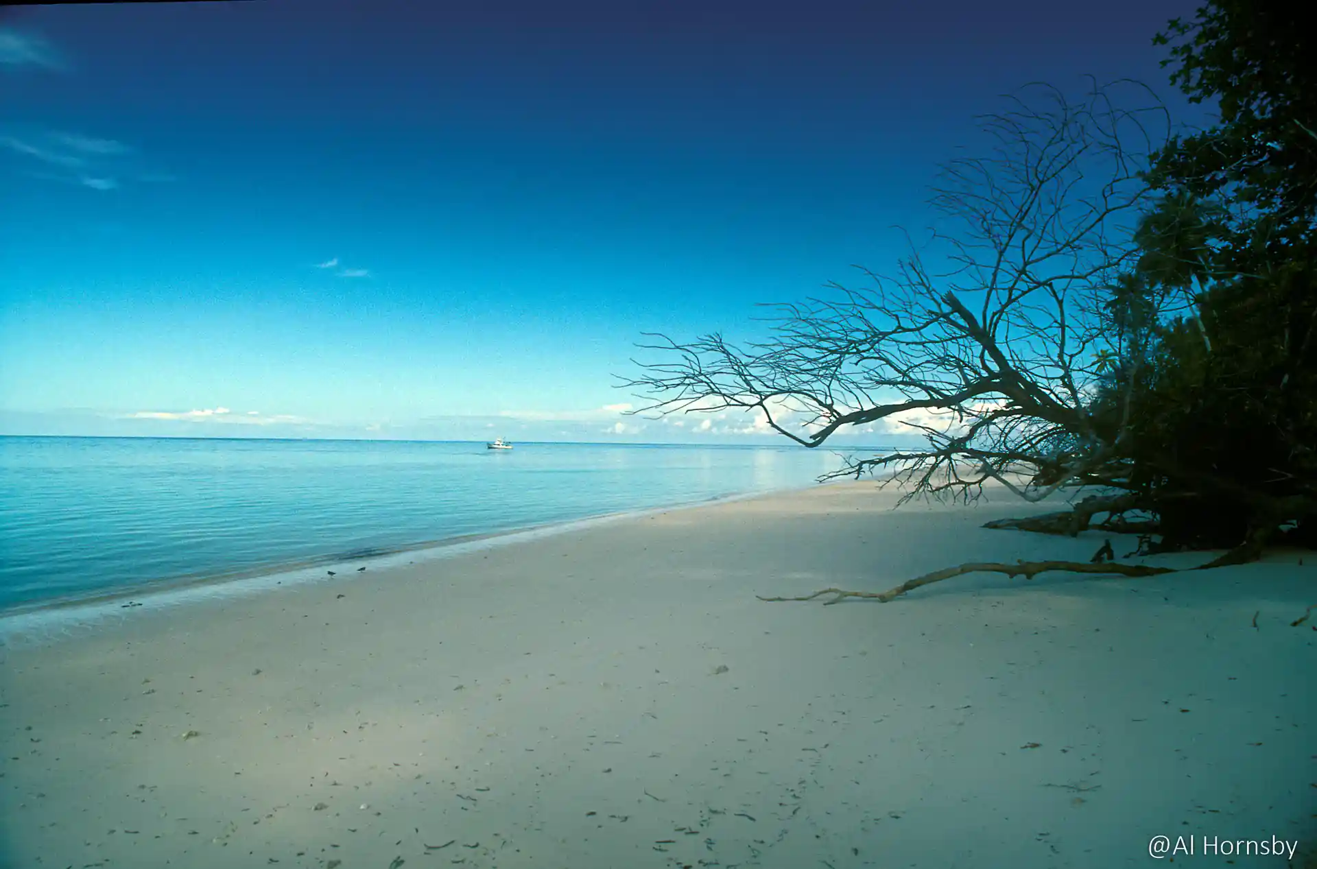 Dive shop photo