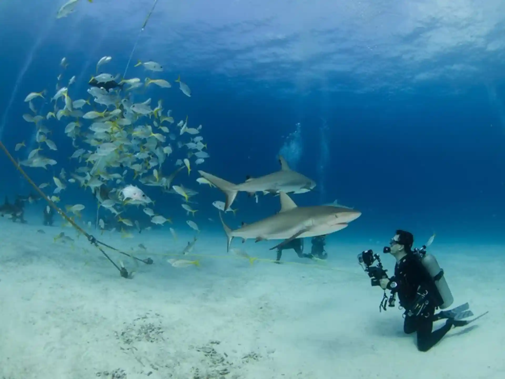 Dive shop photo