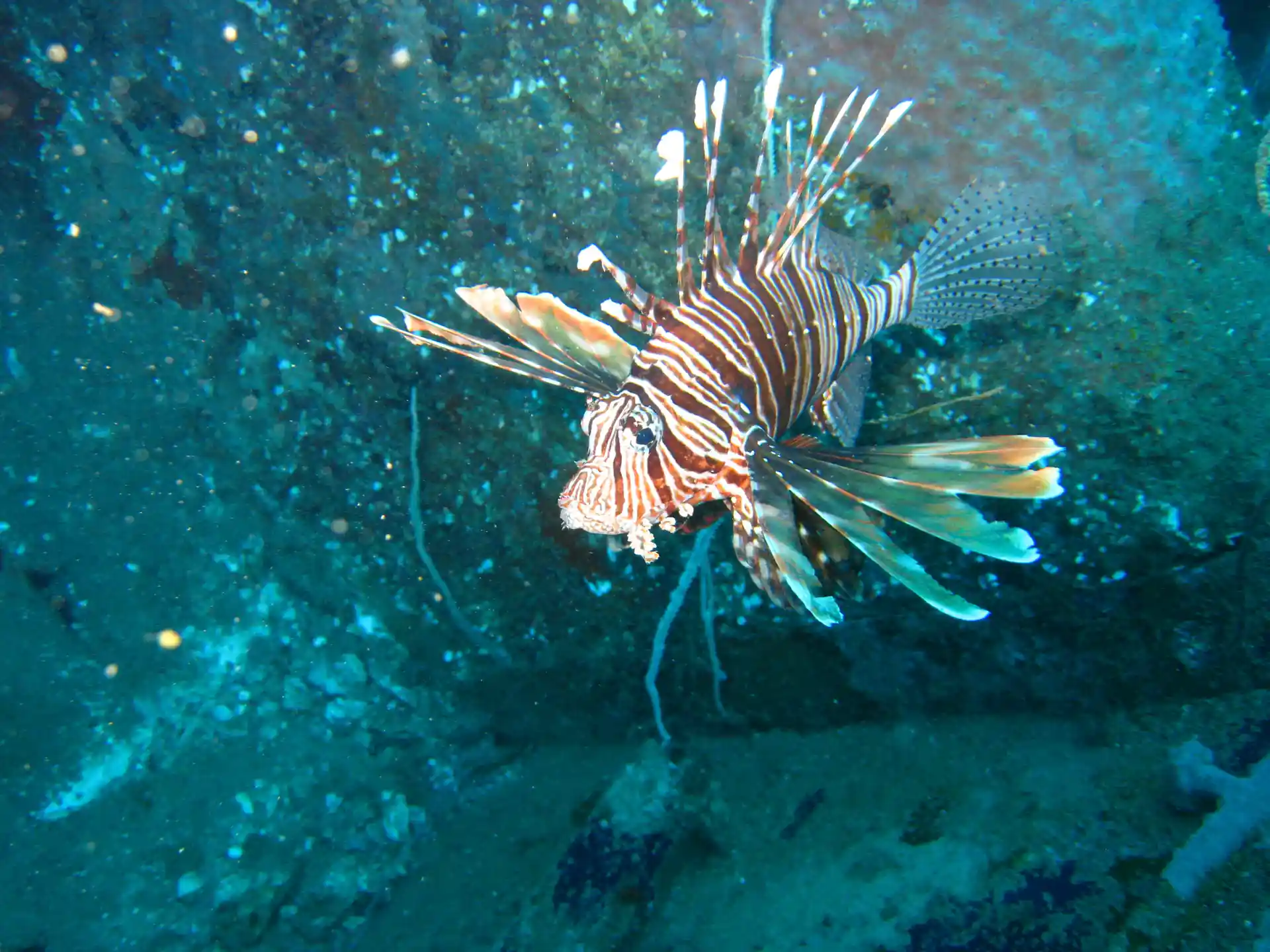 Foto de la actividad