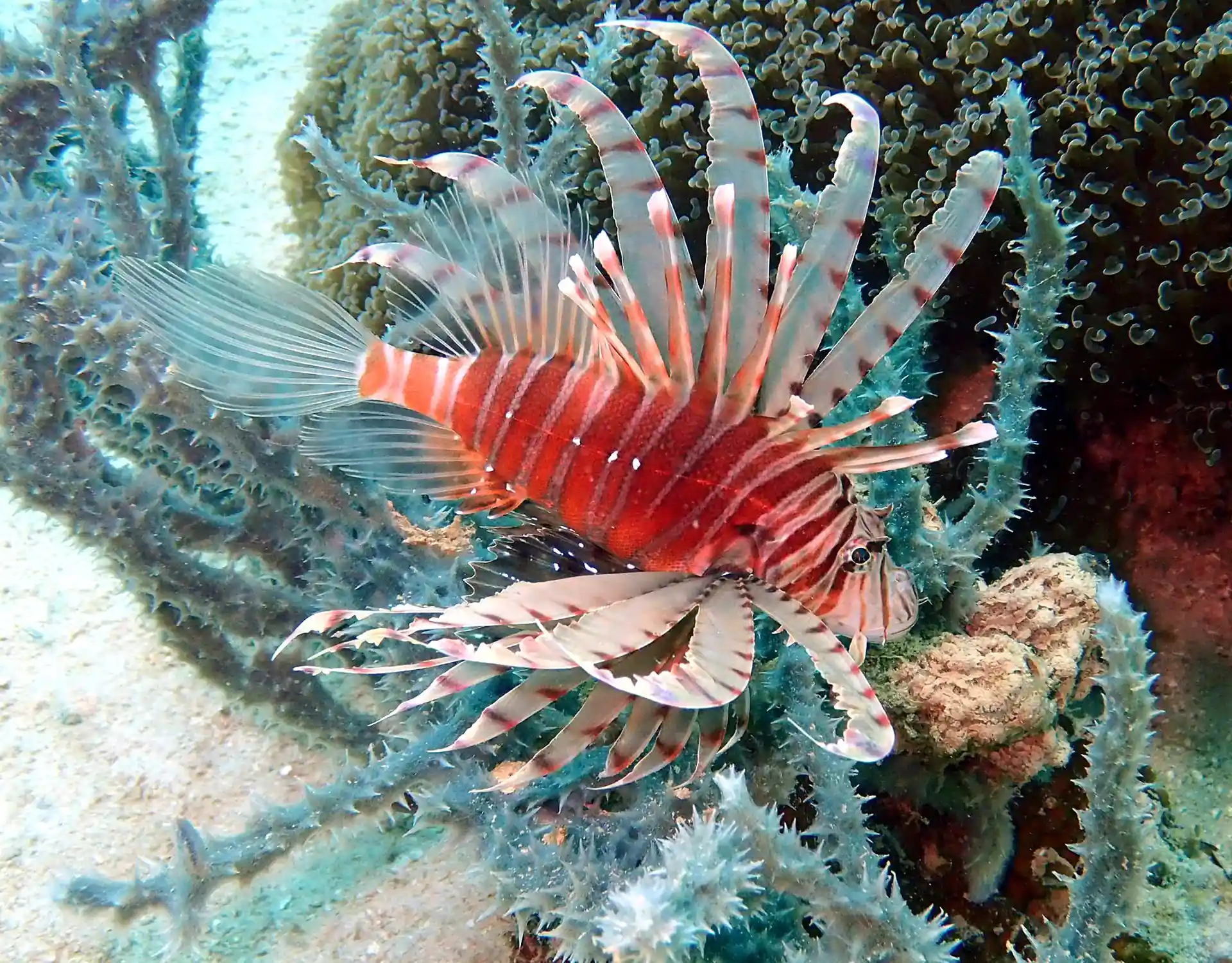 Foto de la actividad