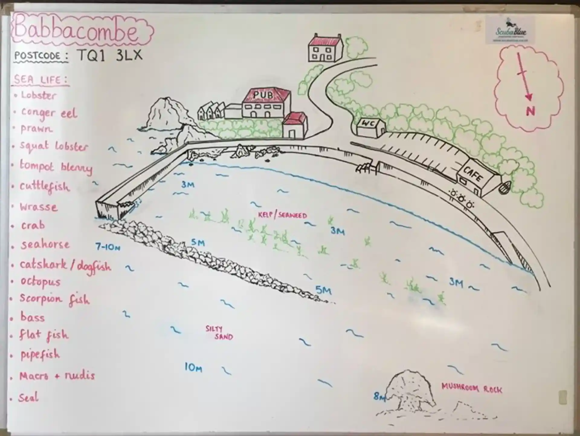 Dive site photo