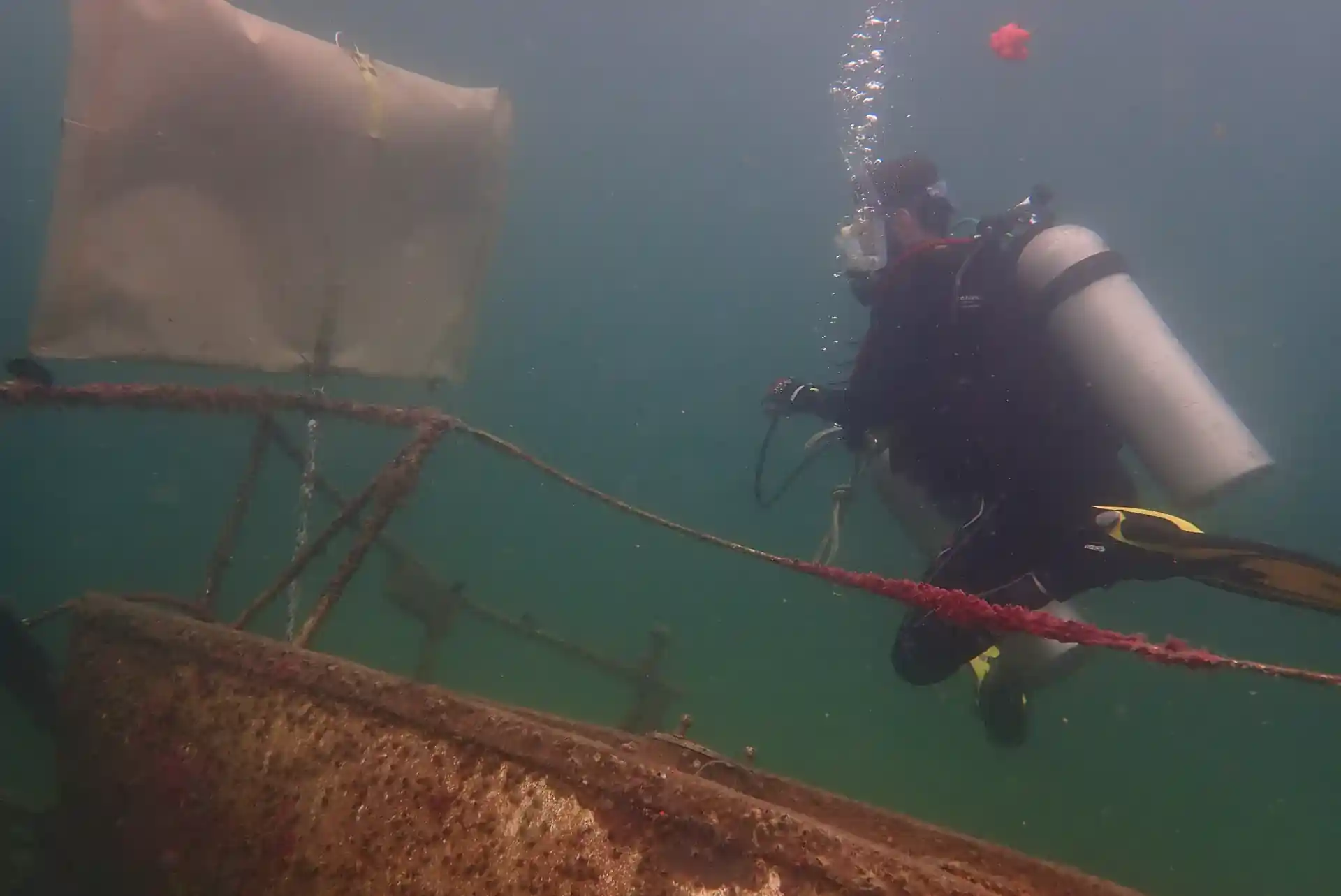 Foto de la actividad