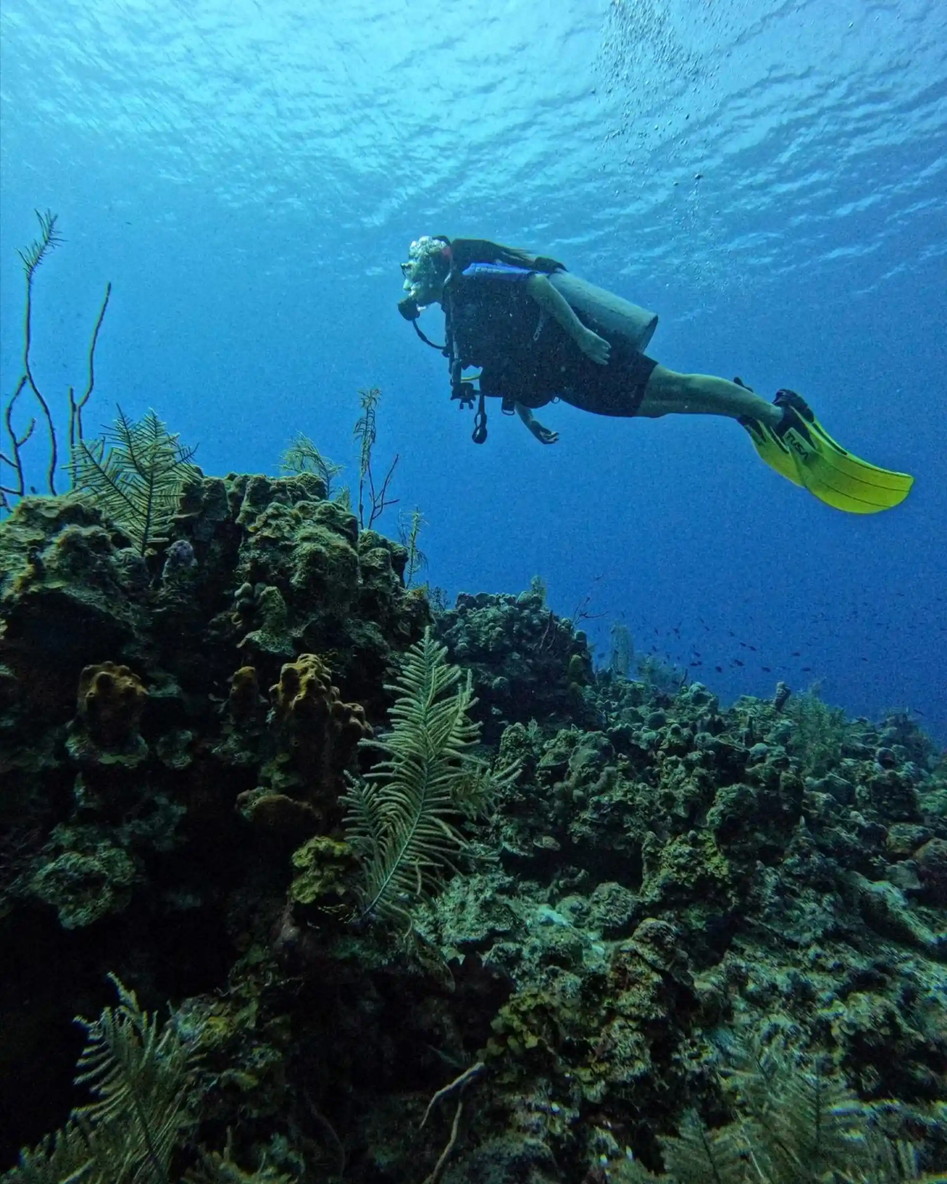Dive site photo