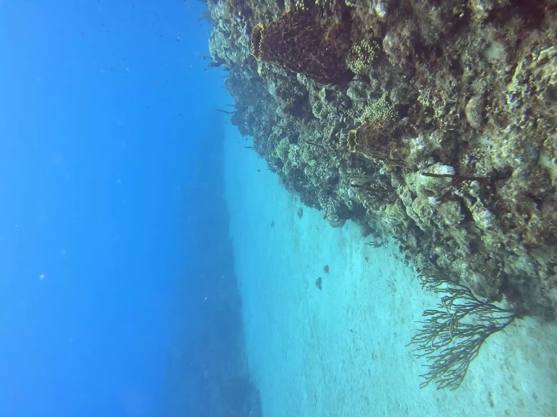 Dive site photo