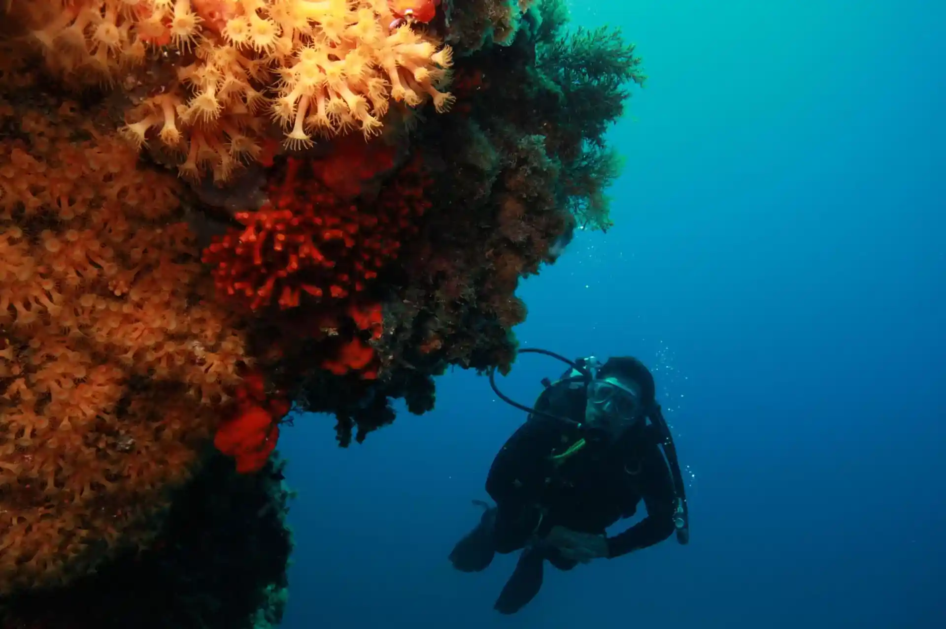Dive site photo