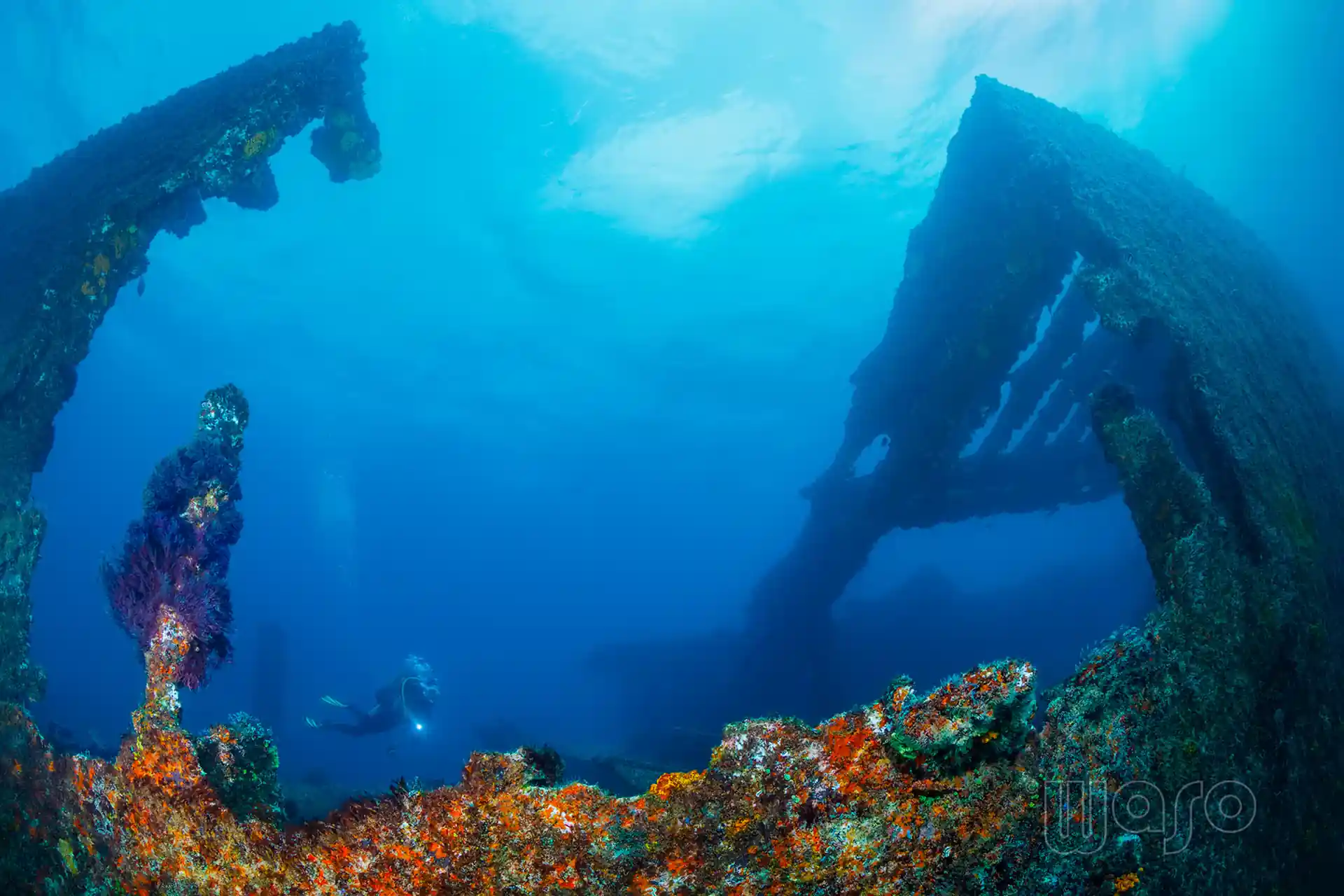 Dive site photo