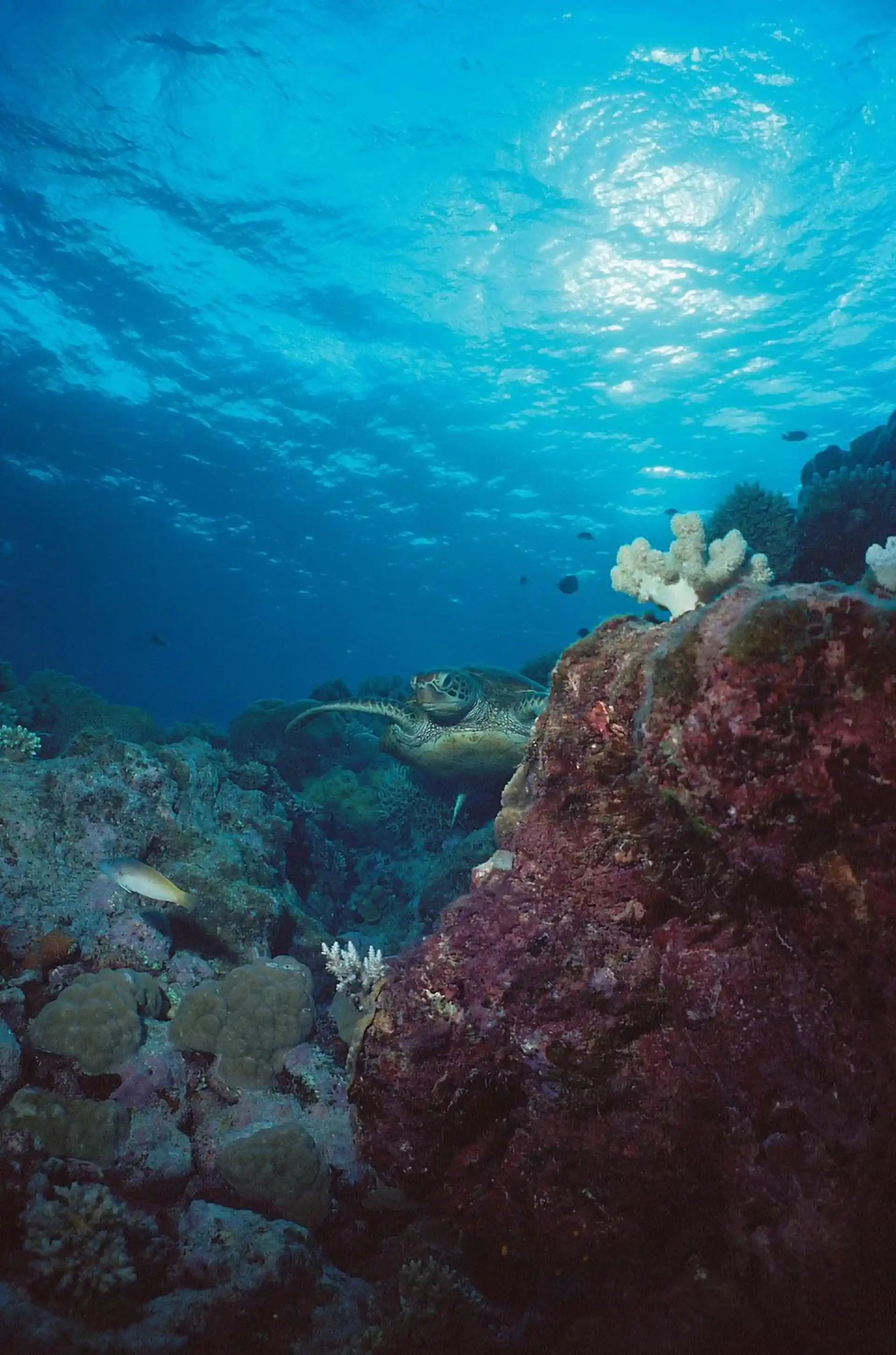 Dive site photo