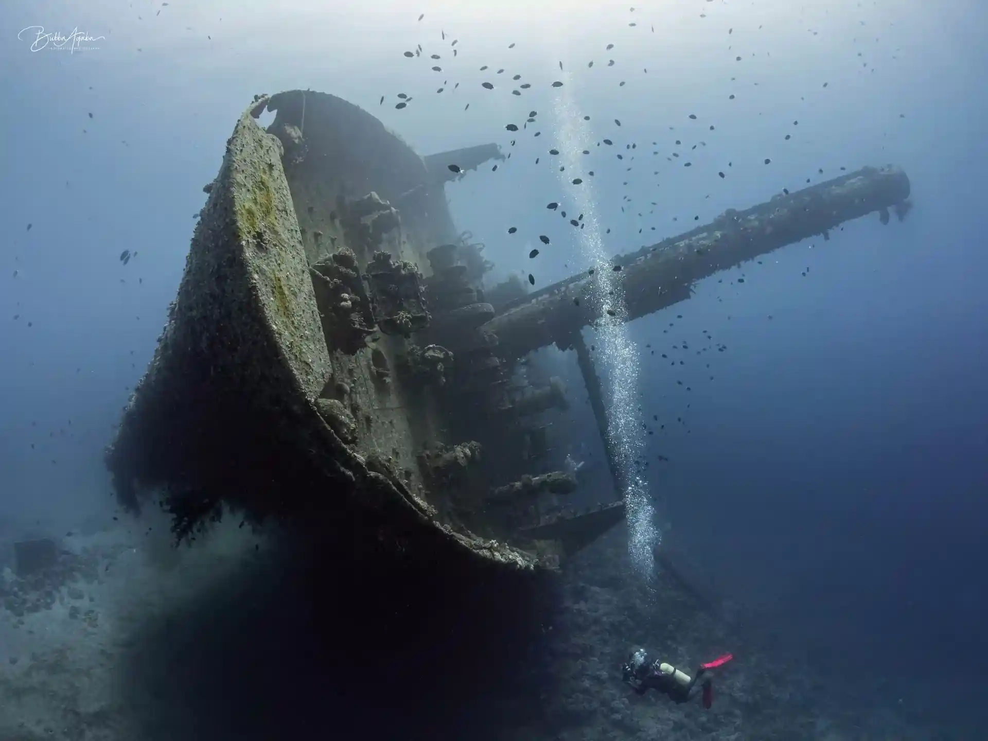Dive site photo