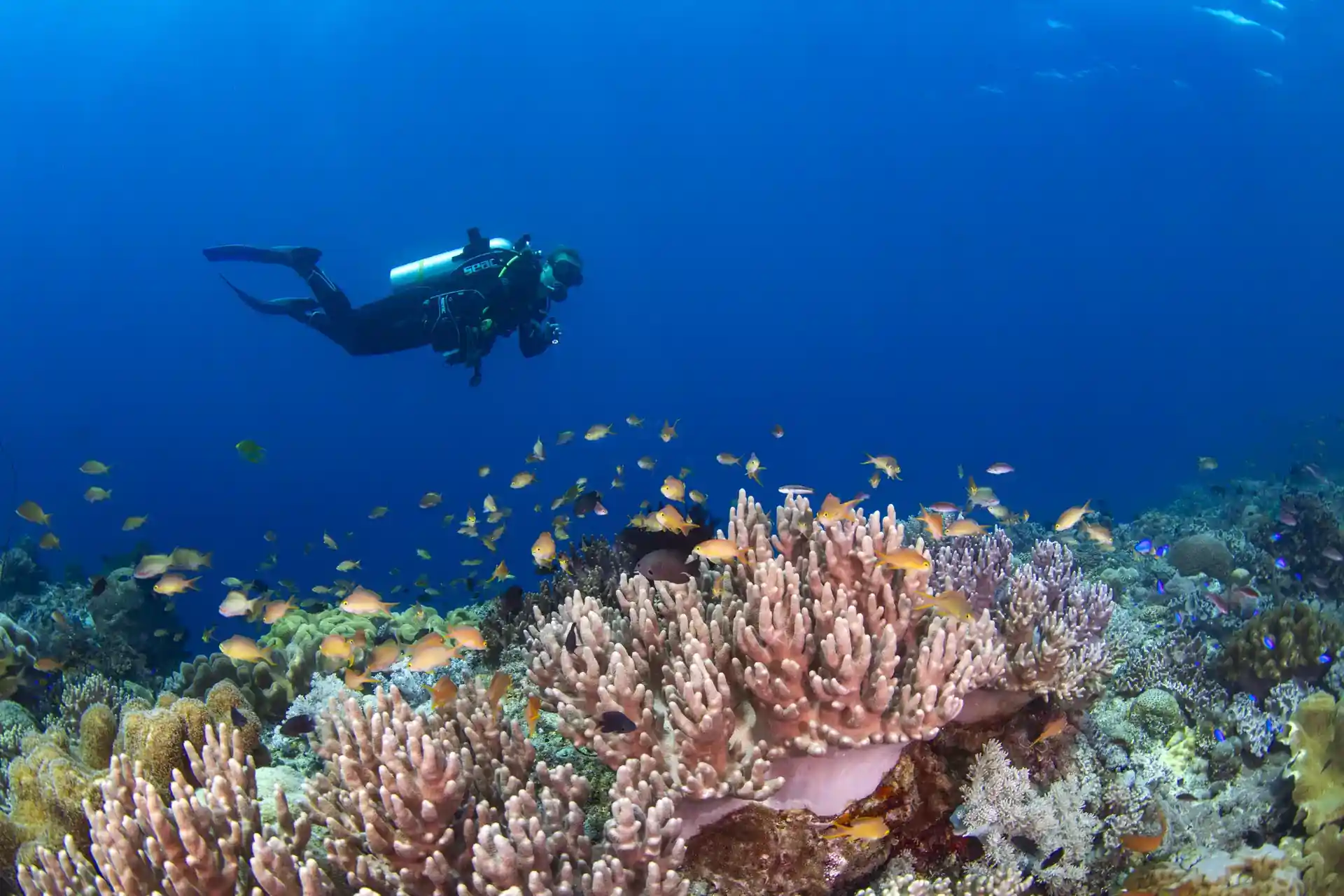 Dive site photo