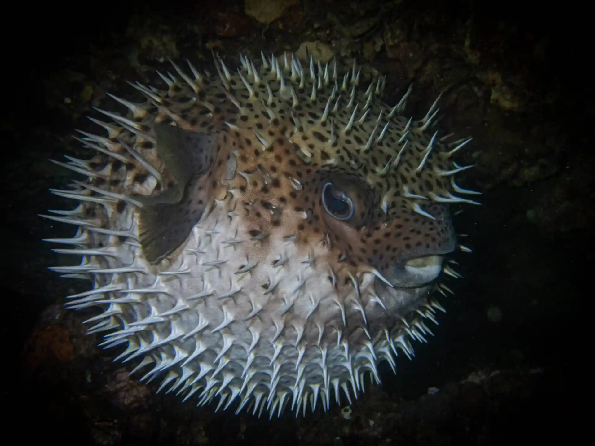 Dive site photo