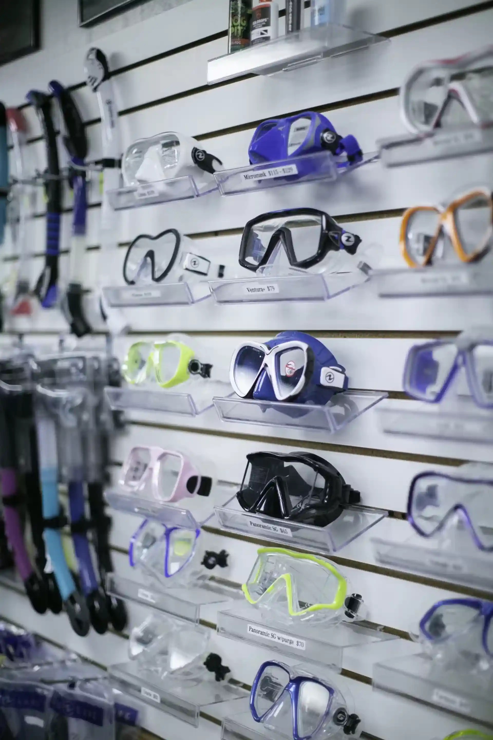 Dive shop photo