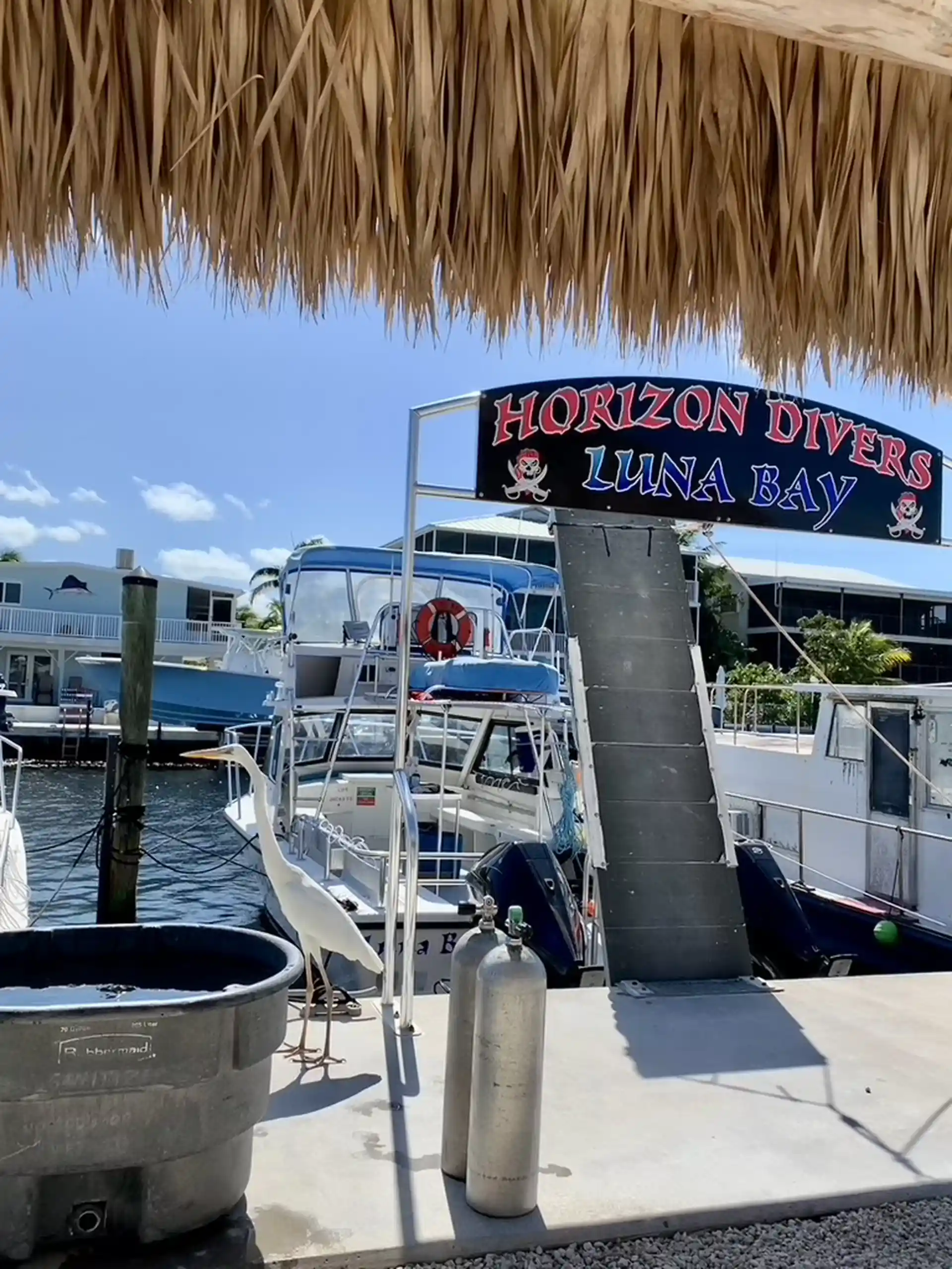 Dive shop photo