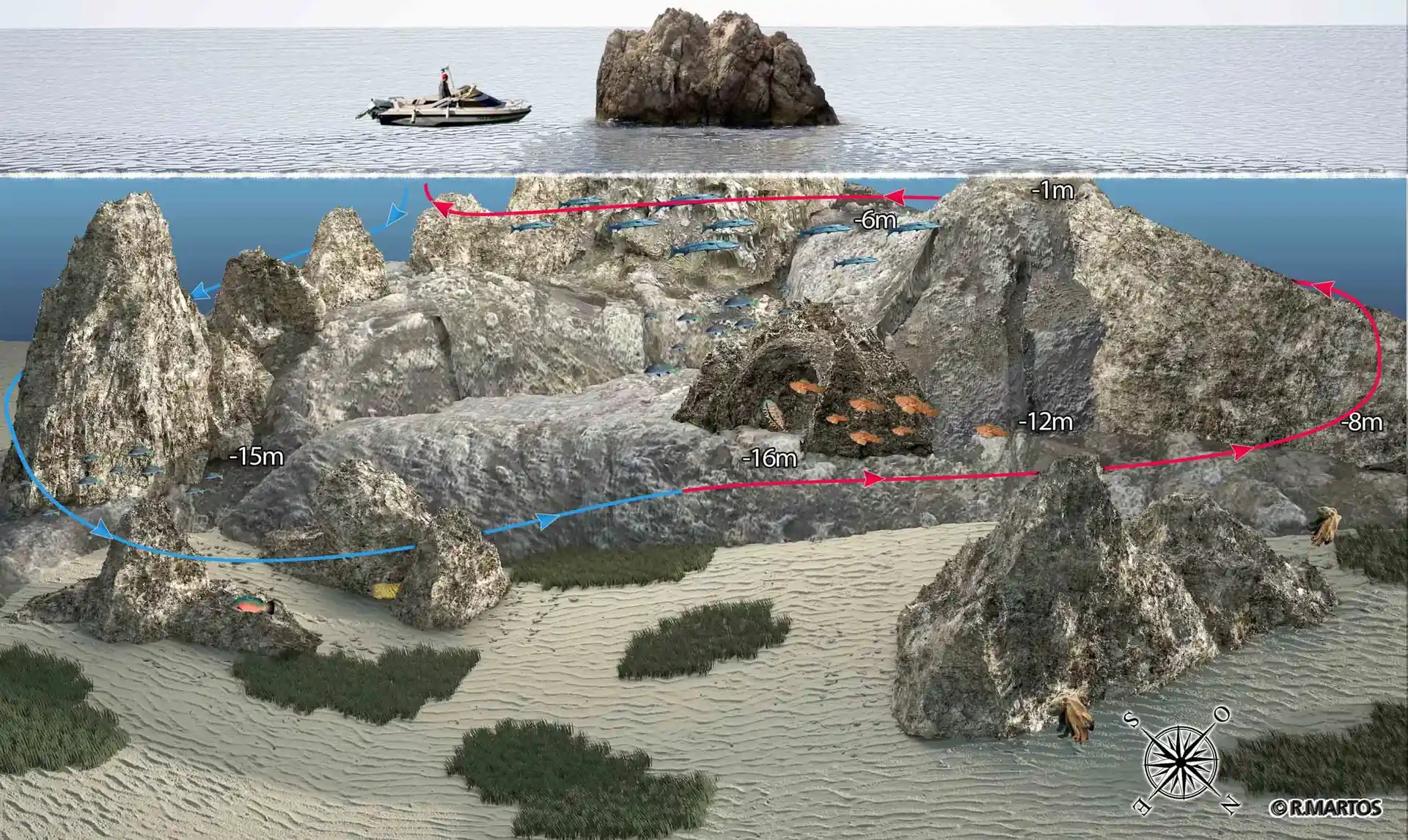 Photo du site de plongée