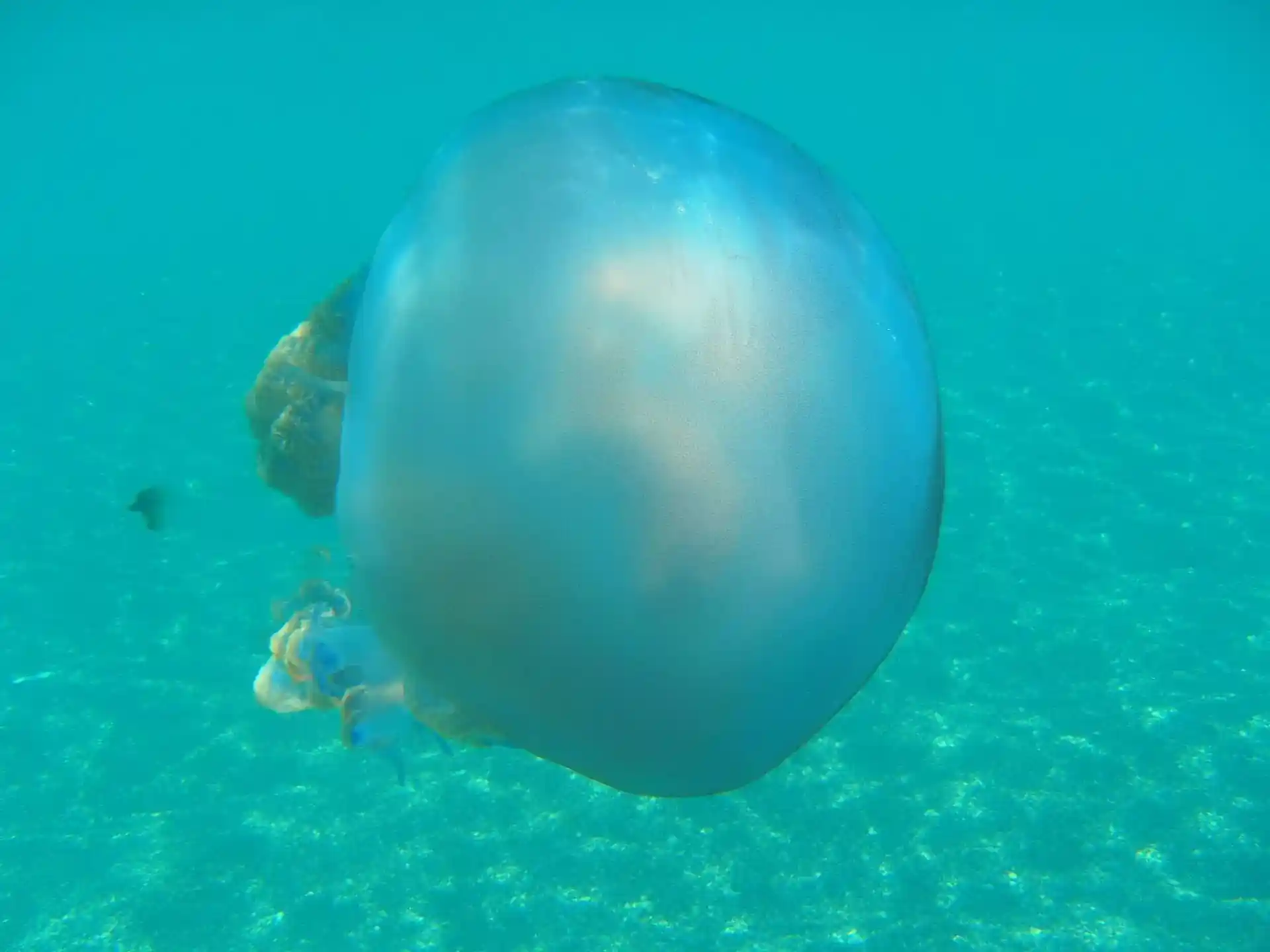 Foto del sitio de buceo