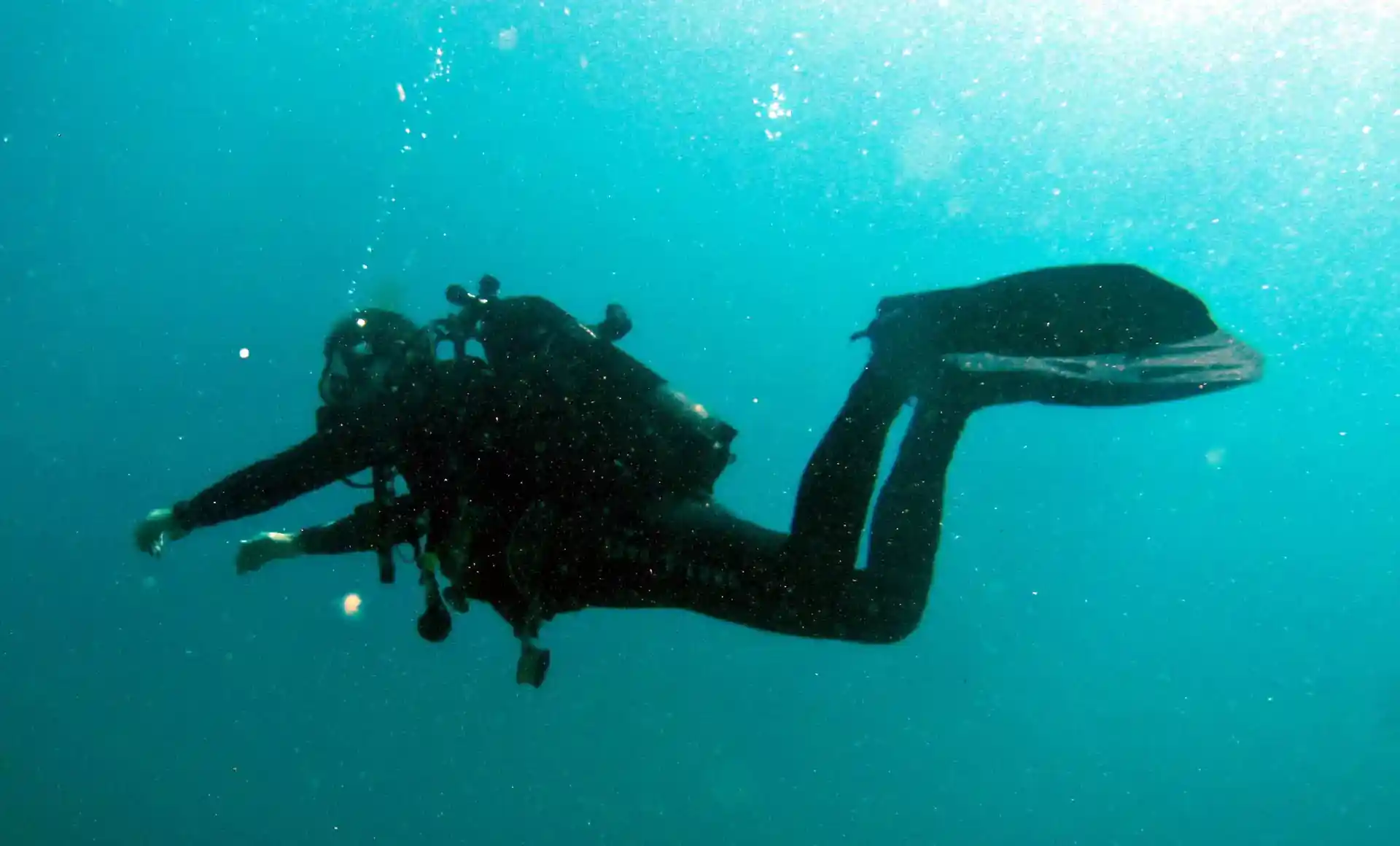 Foto de la actividad