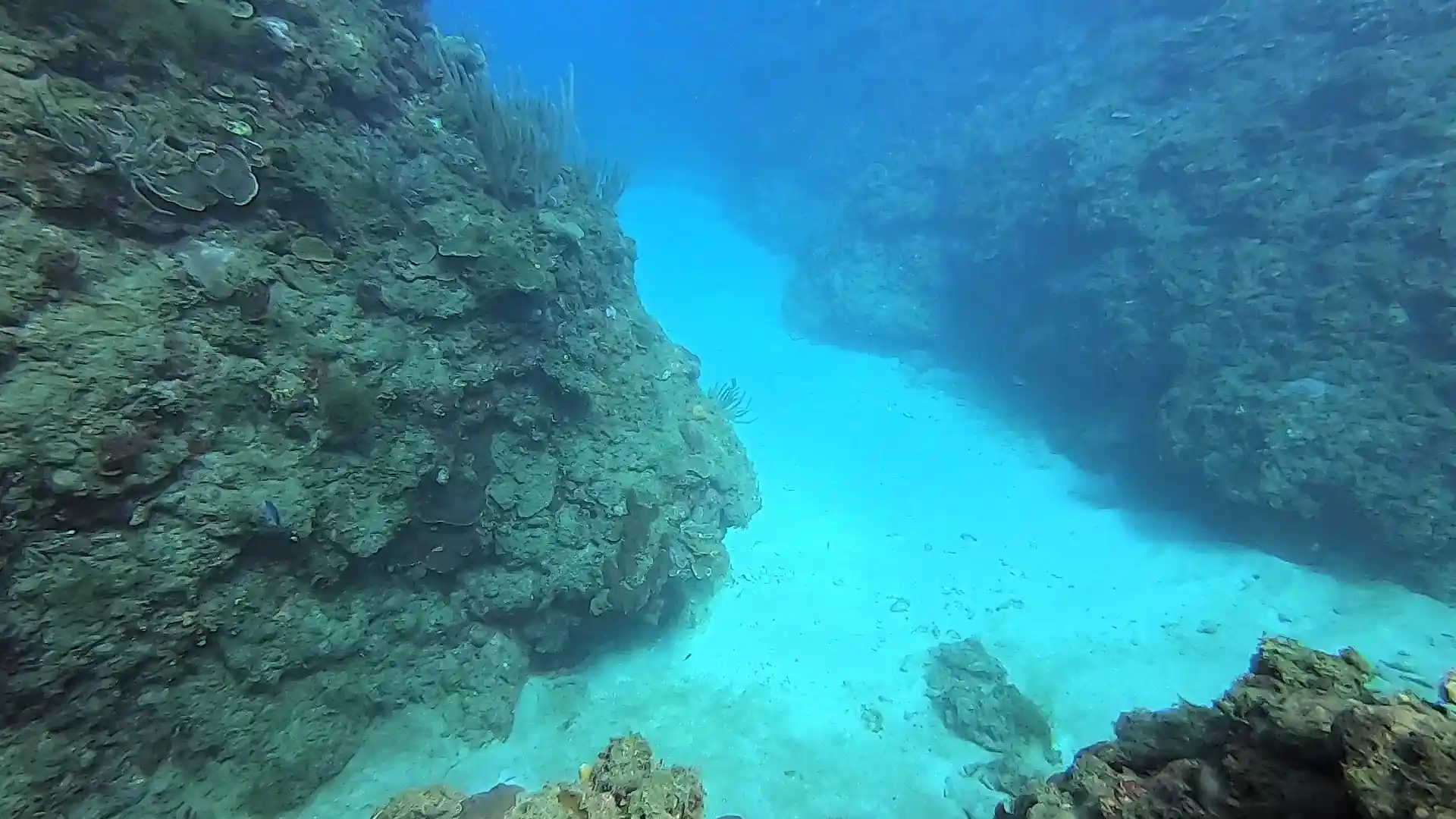 Dive site photo