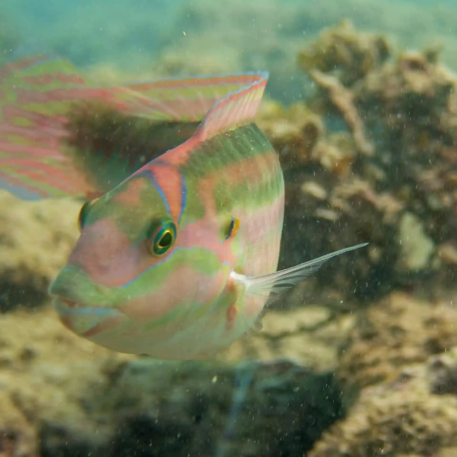 Dive site photo