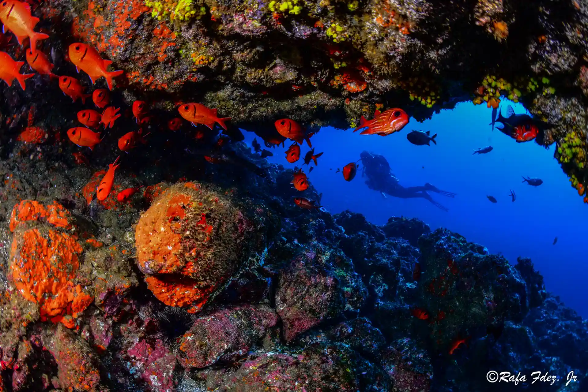 Dive site photo
