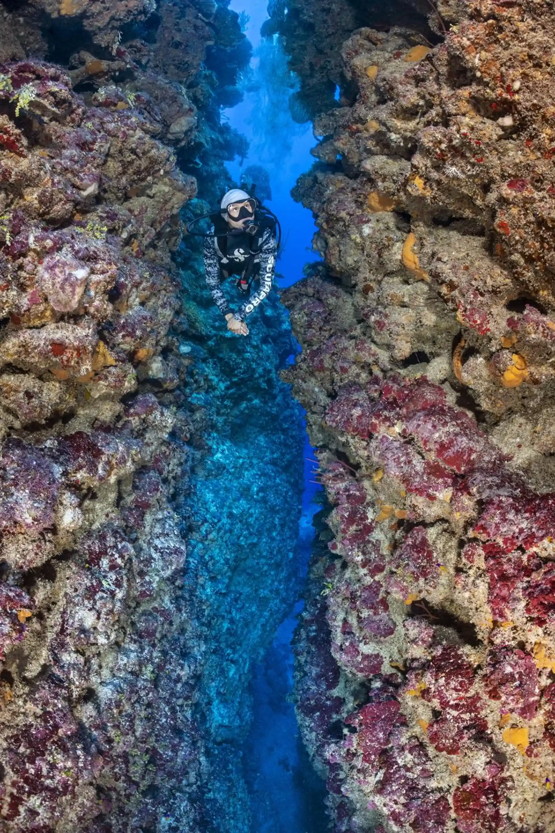 Dive site photo