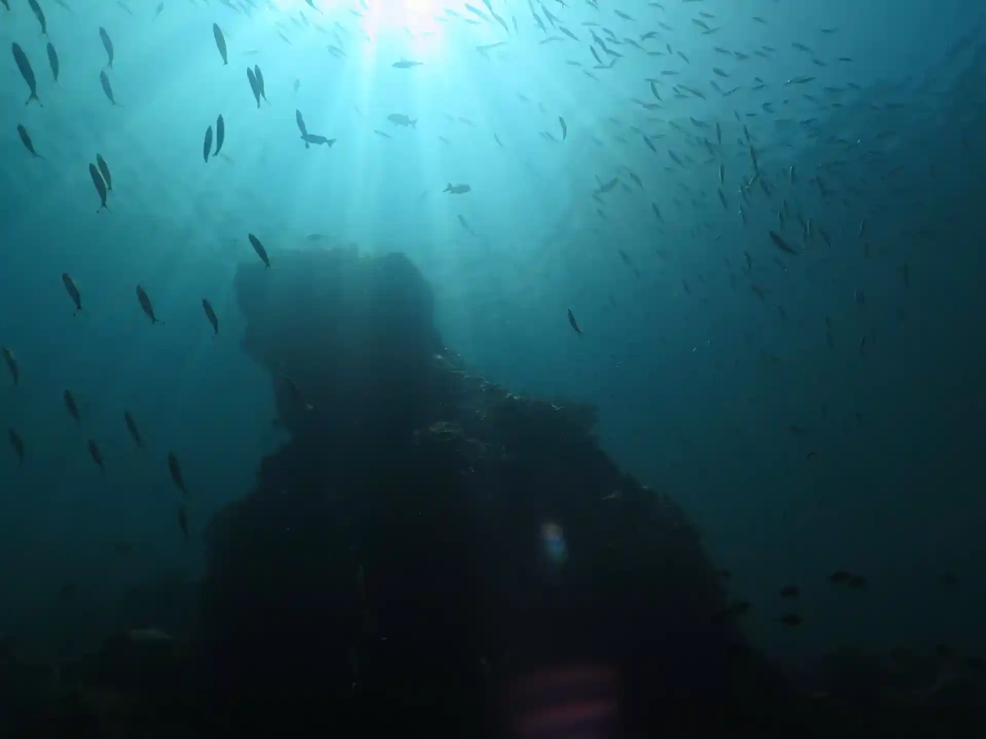 Dive site photo