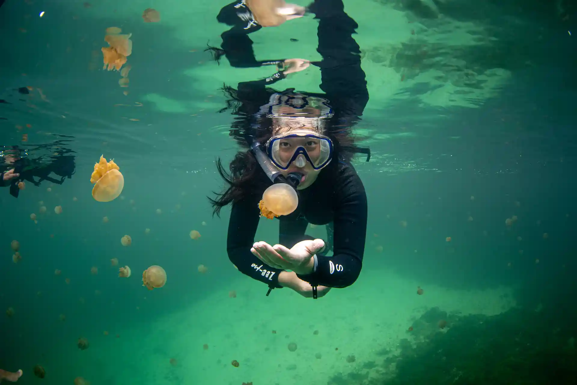 Swim with Stingless Jellyfish at Kakaban Lake