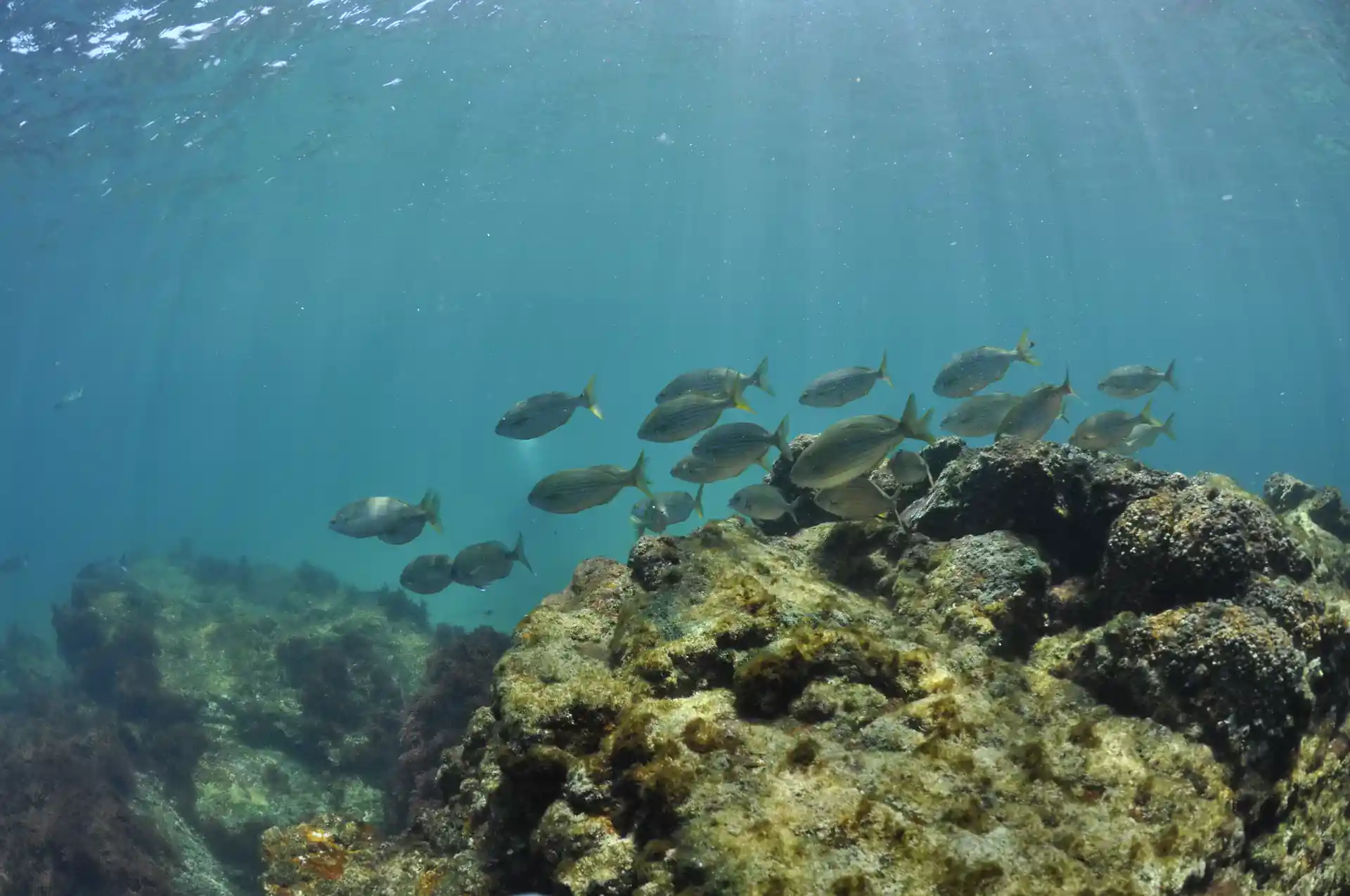 Photo de l'activité