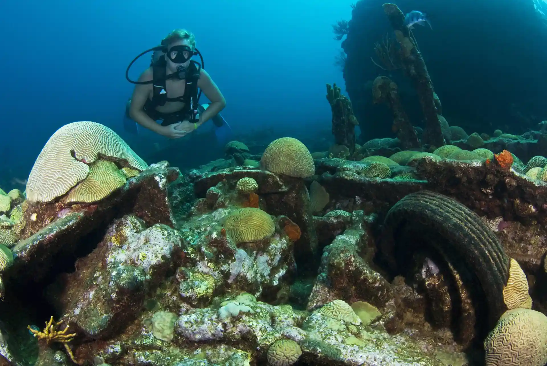 Dive site photo