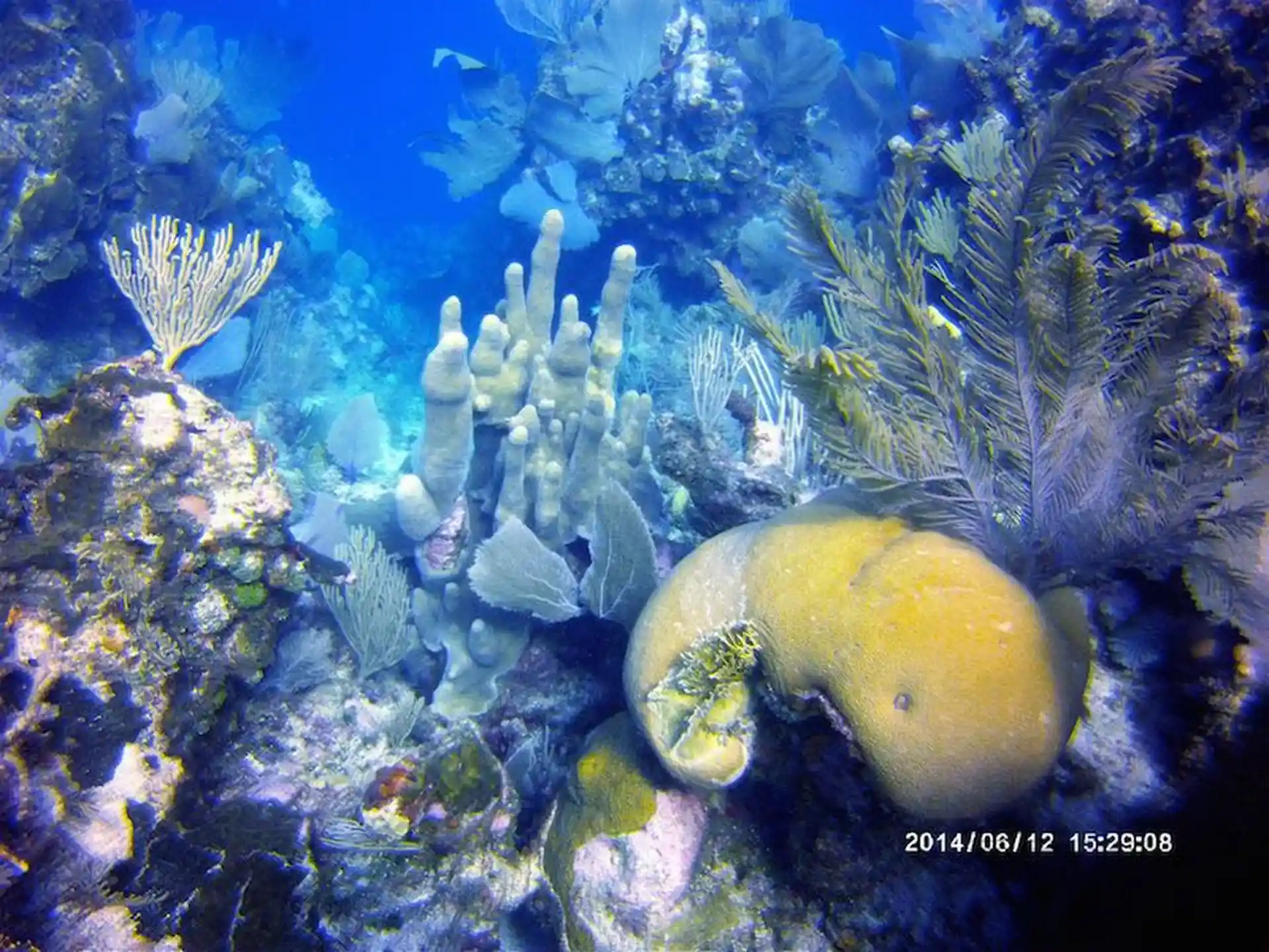 Dive shop photo
