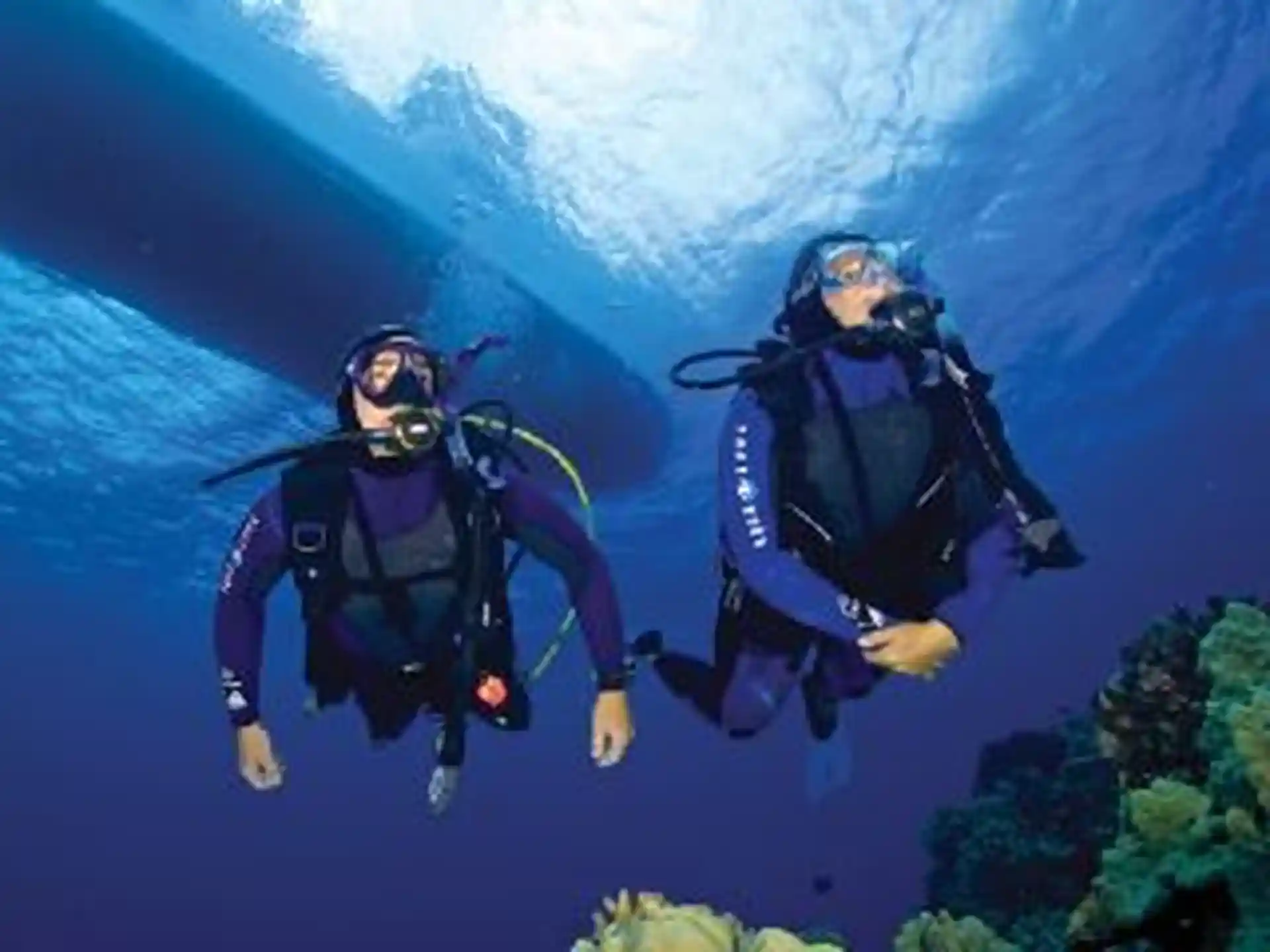 Dive shop photo