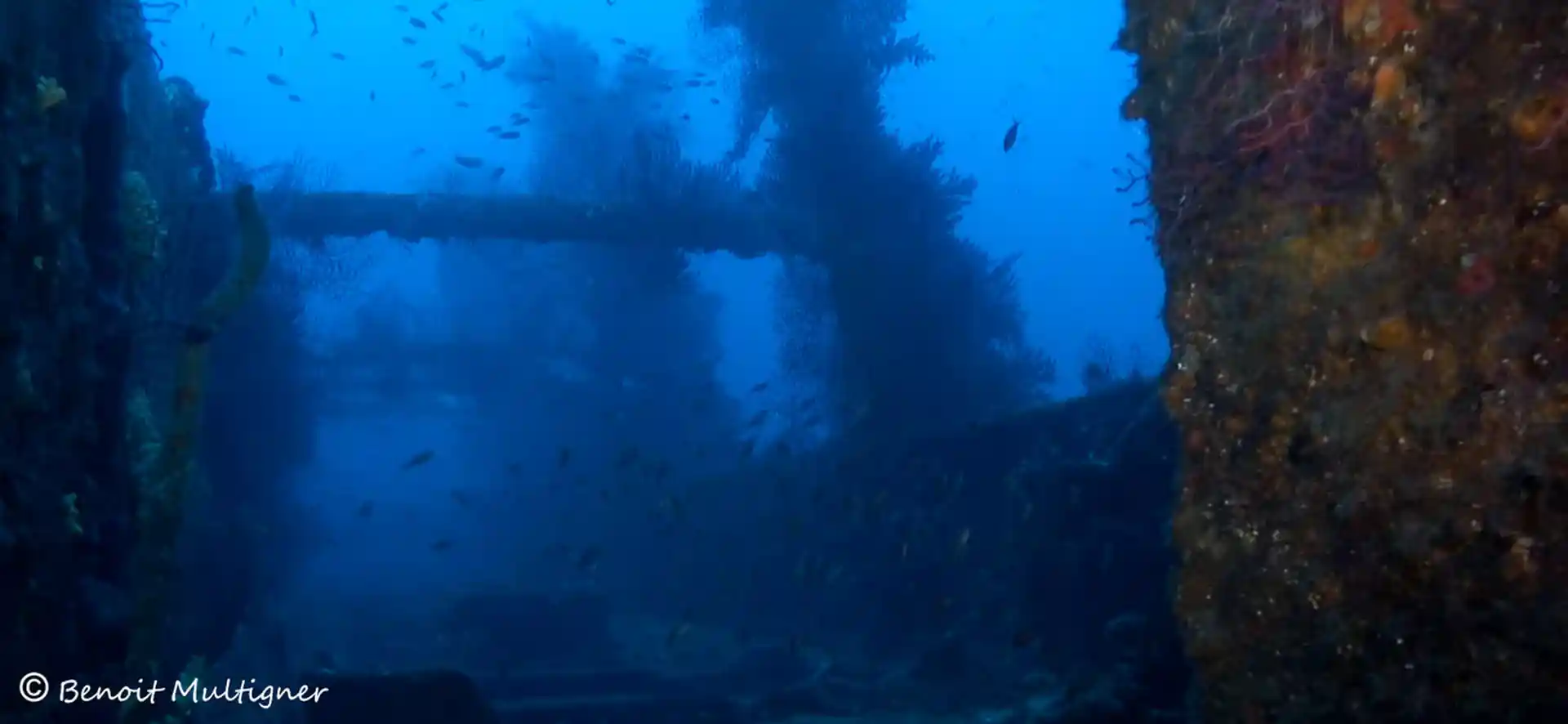 Foto des Tauchplatzes