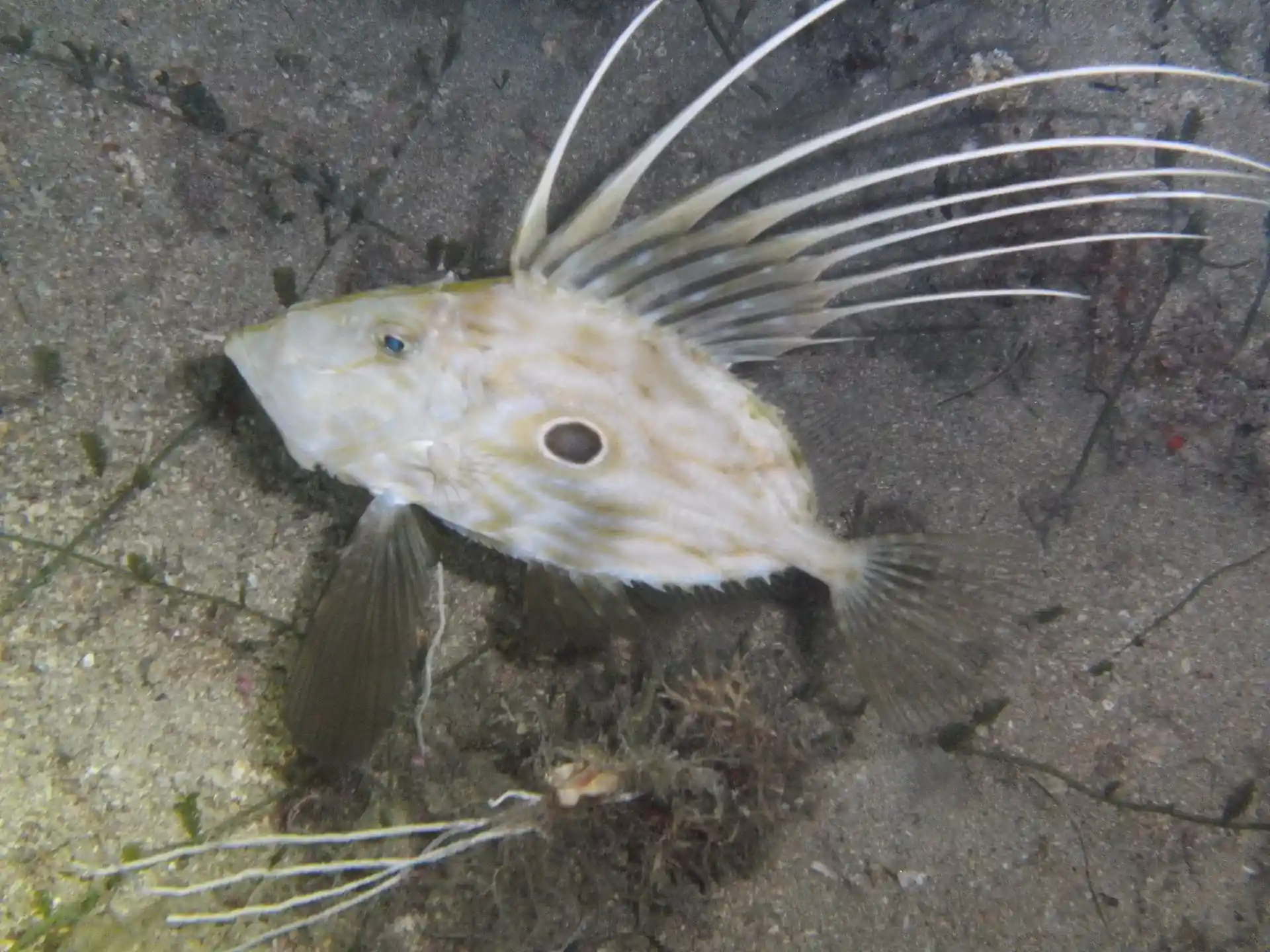 Dive site photo
