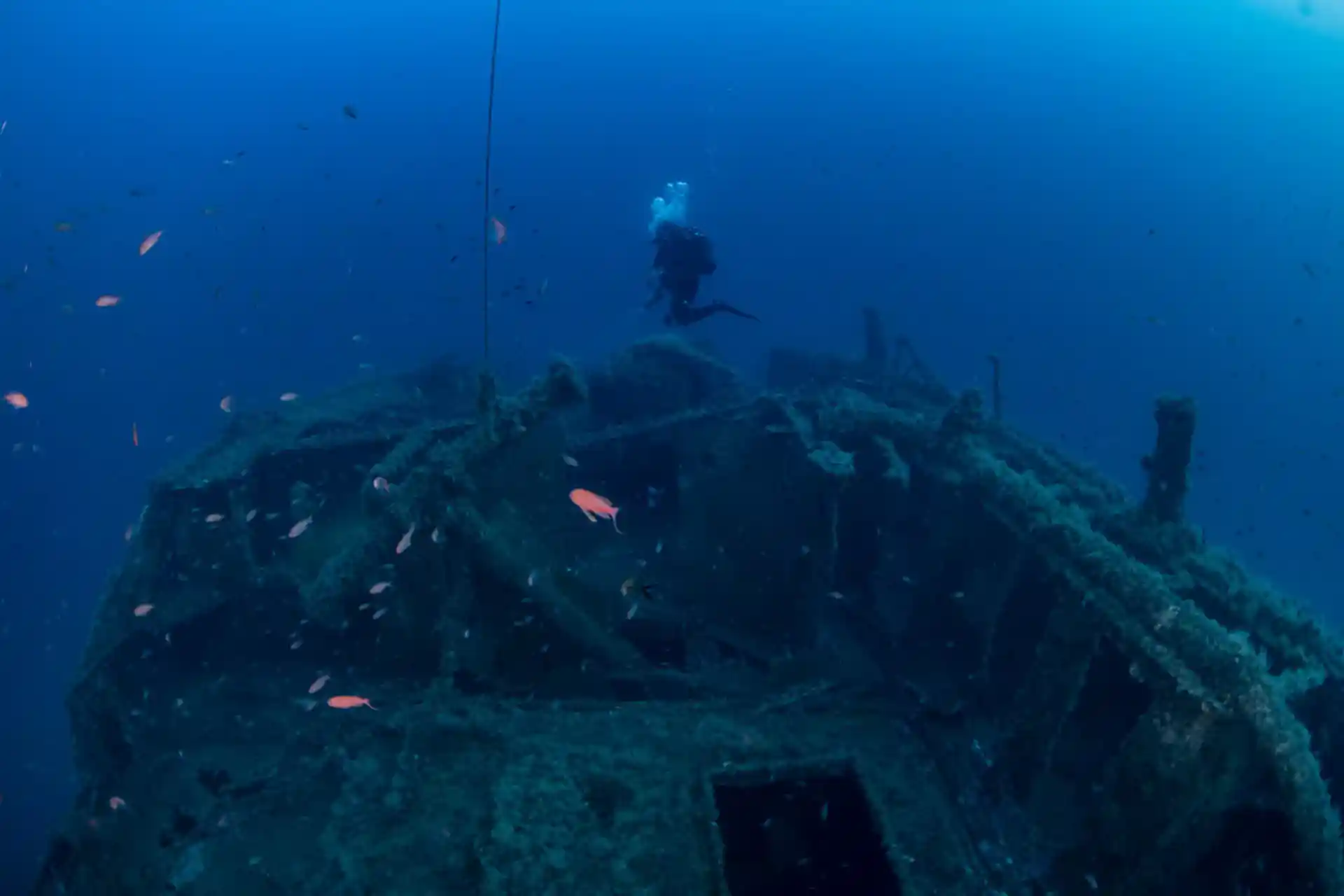 Photo du site de plongée