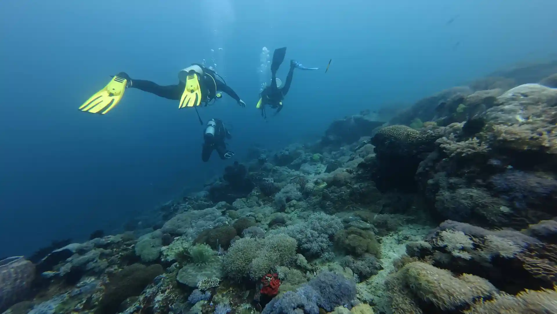 Dive shop photo