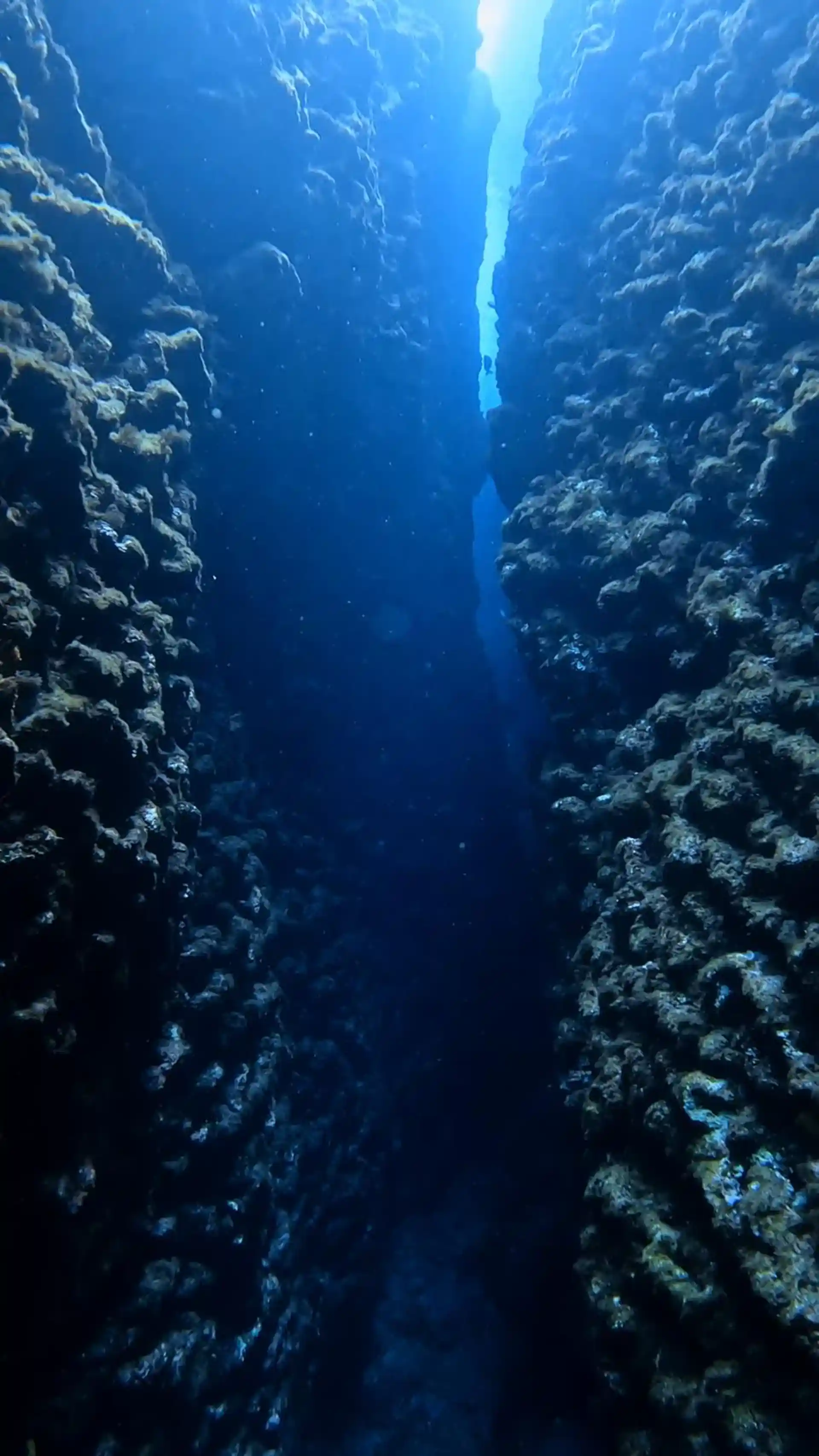 Foto del sitio de buceo