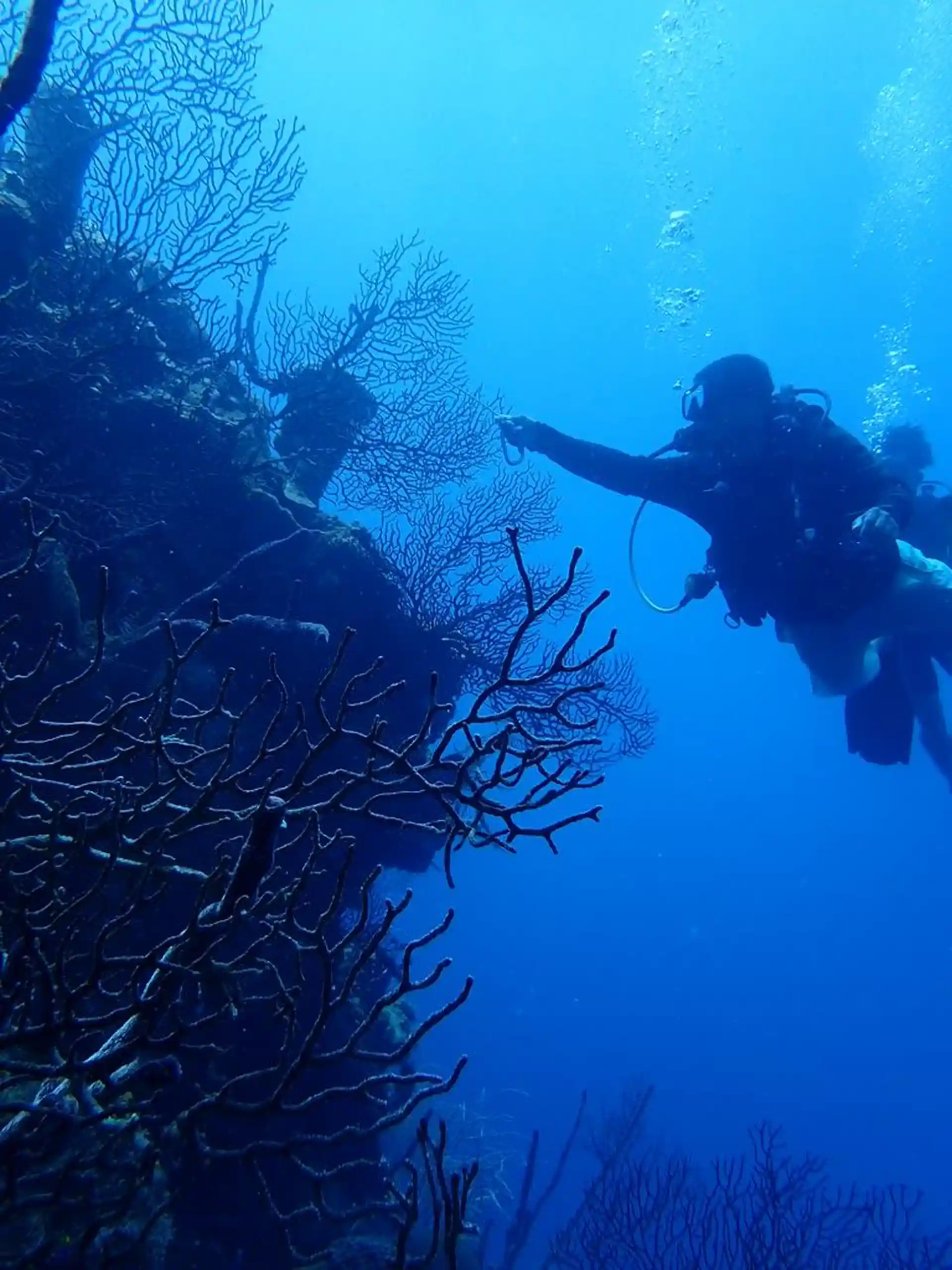 Dive site photo