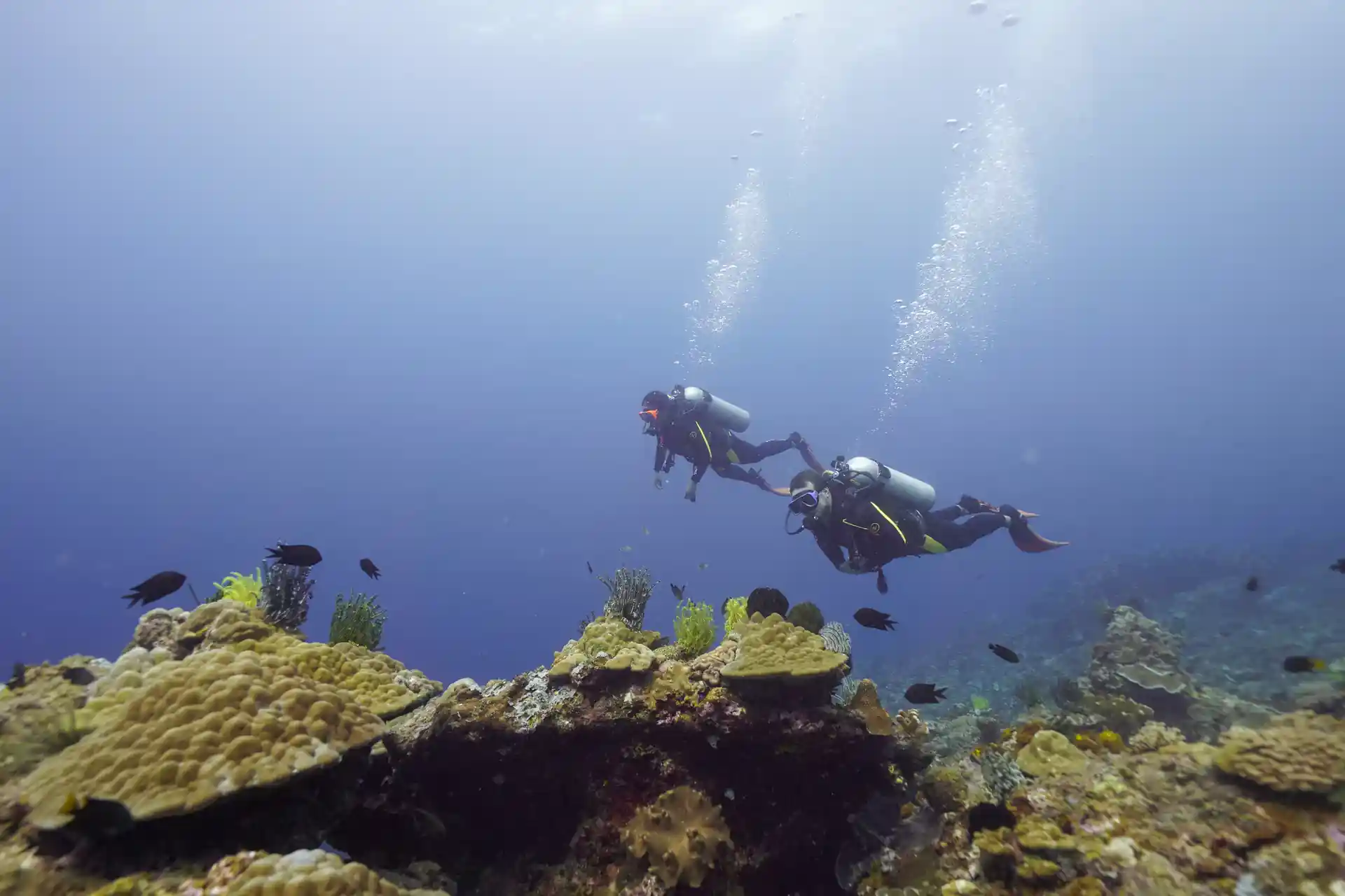 Foto de la actividad