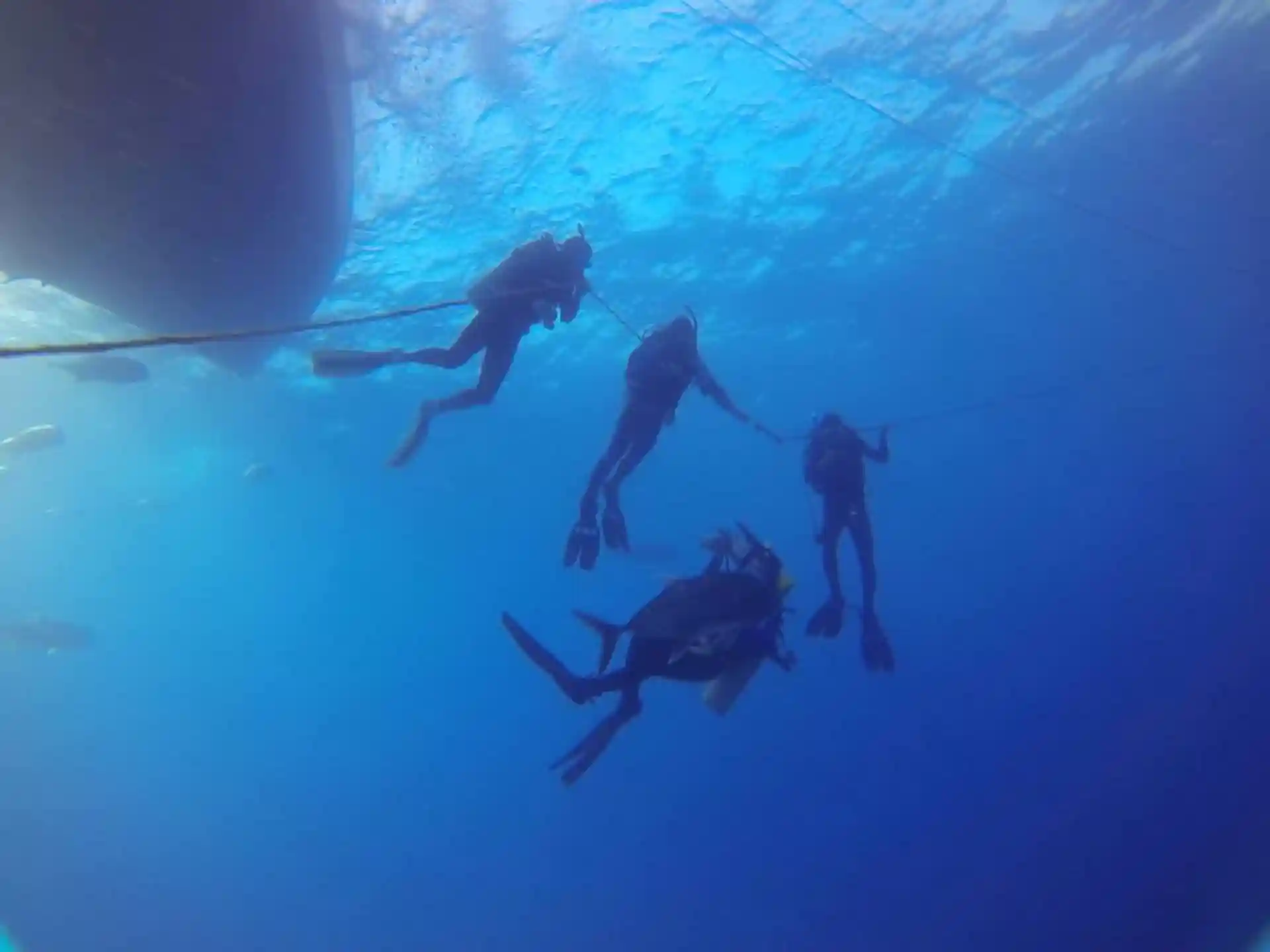 Buoyancy Adventure Dive at the reef