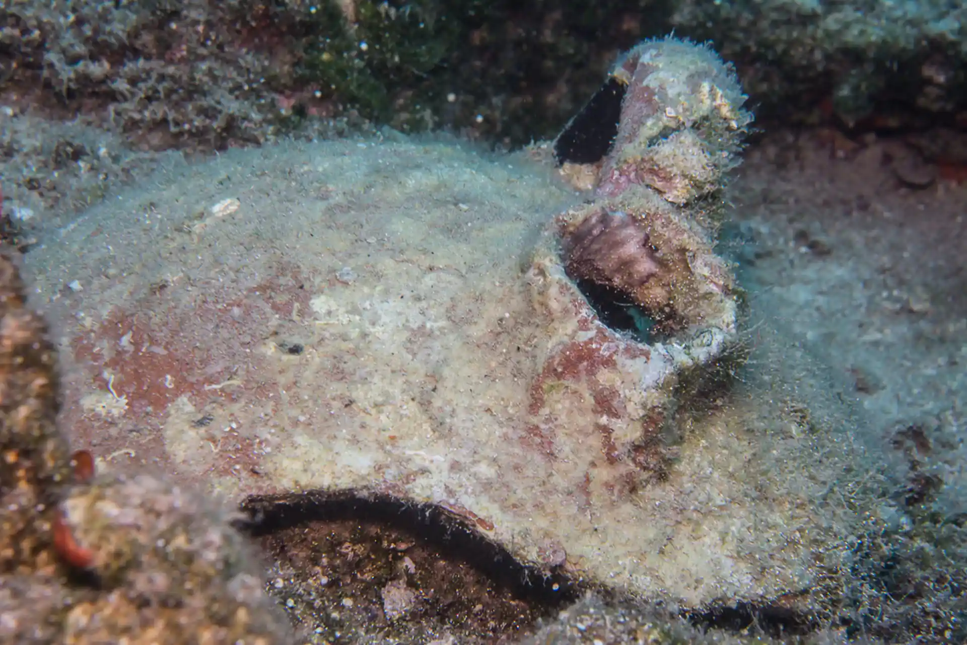 다이빙 포인트 사진