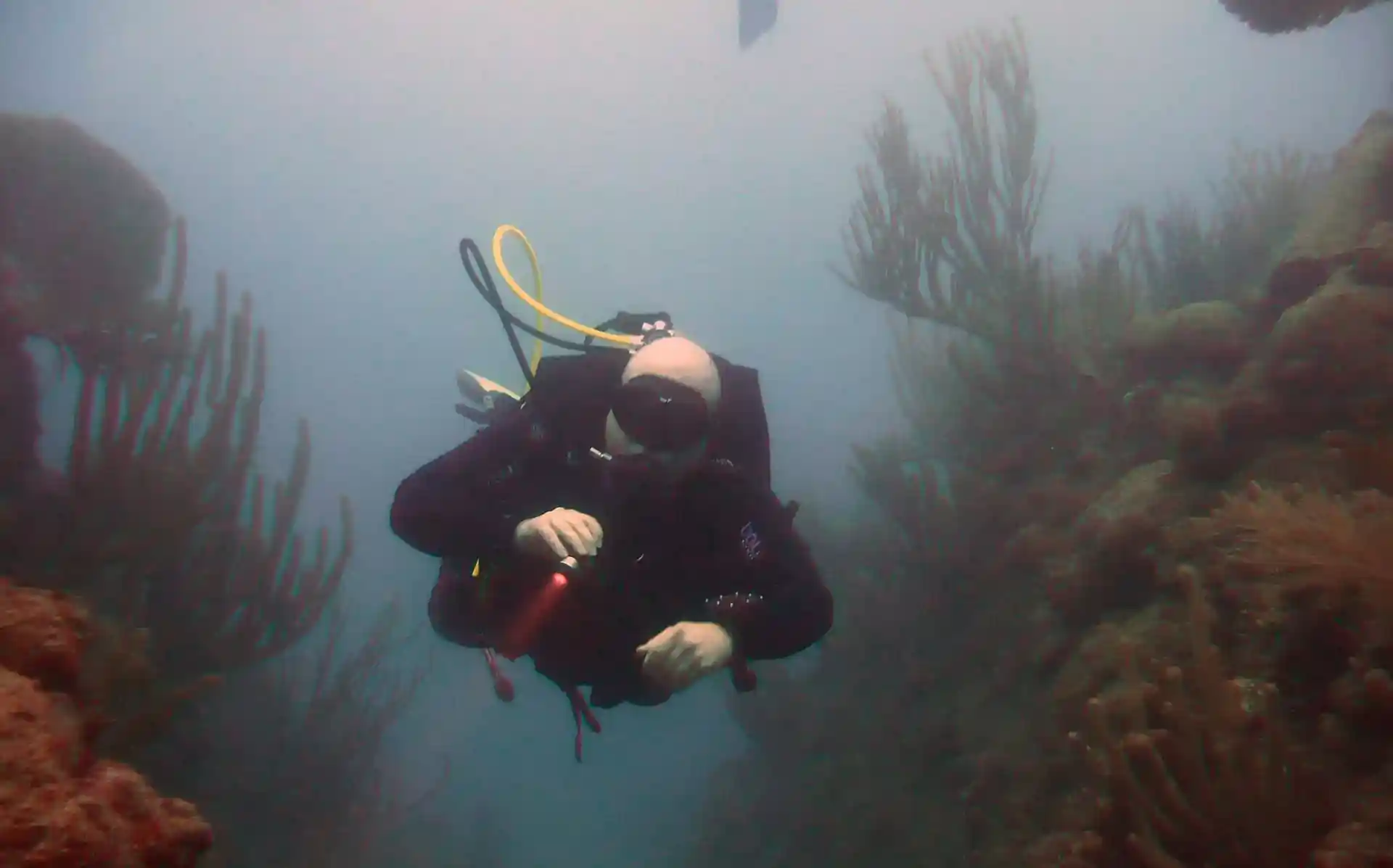 Dive site photo