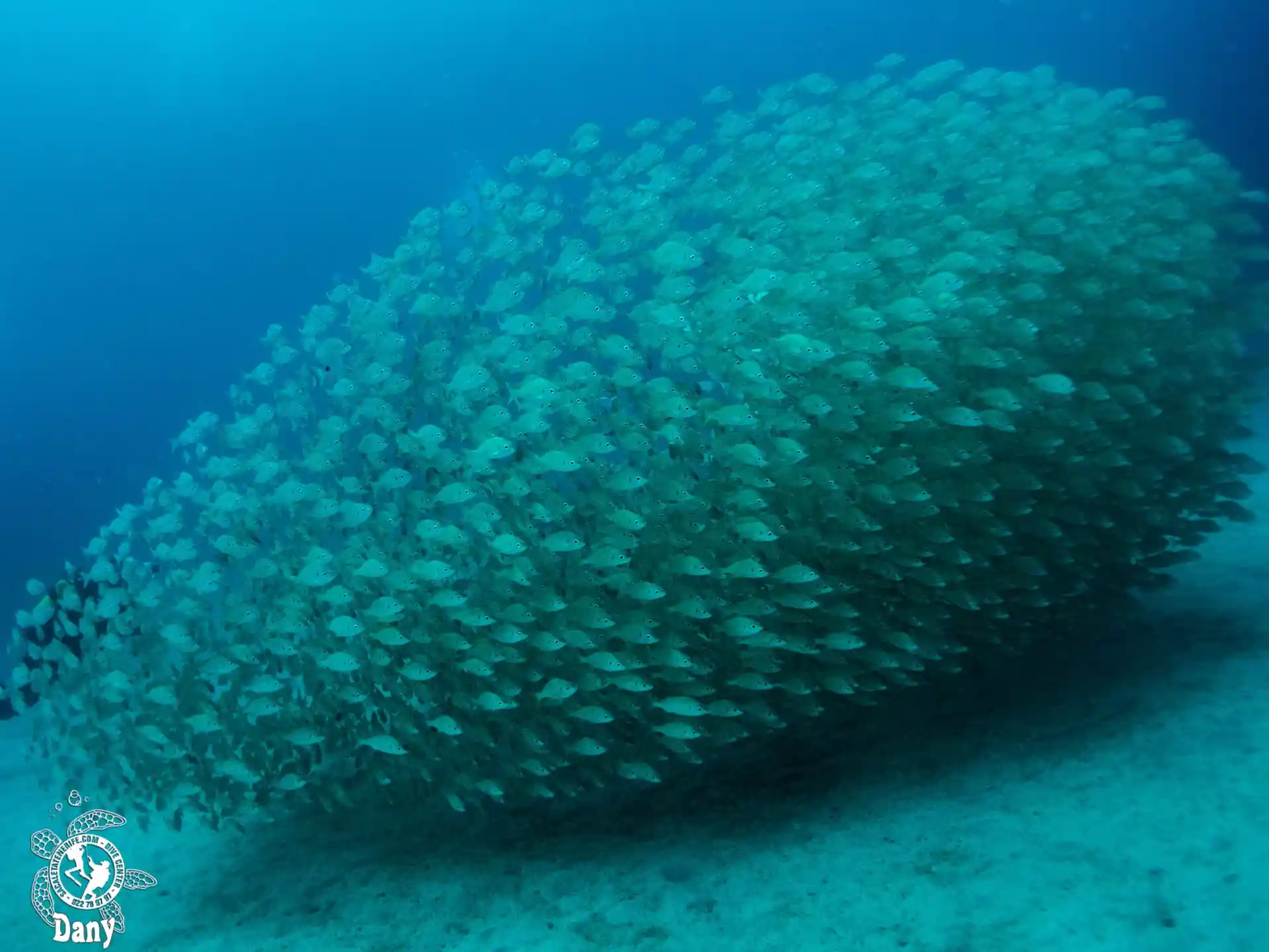 Dive site photo